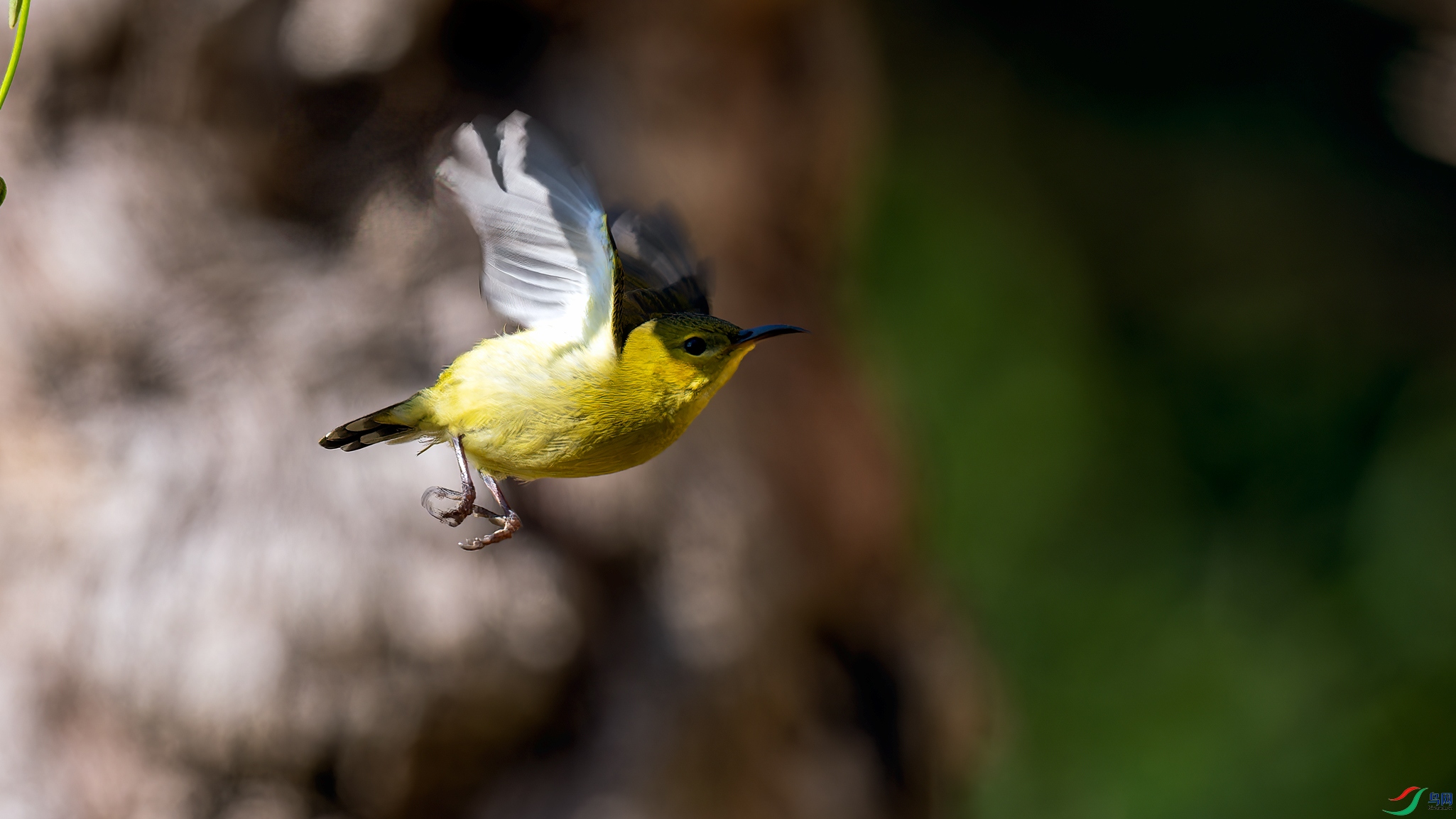 PC213744-ORF_DxO_DeepPRIMEXD.jpg