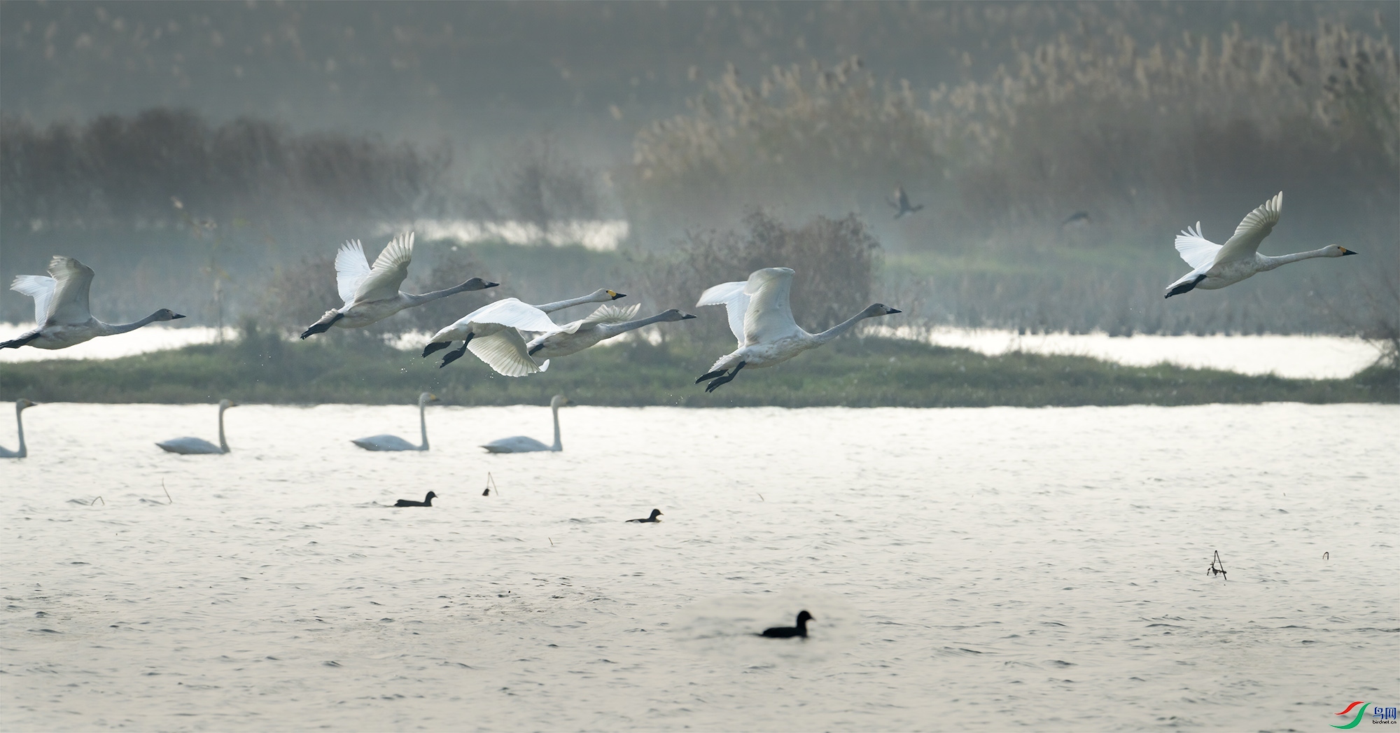 DSC07702-1.jpg