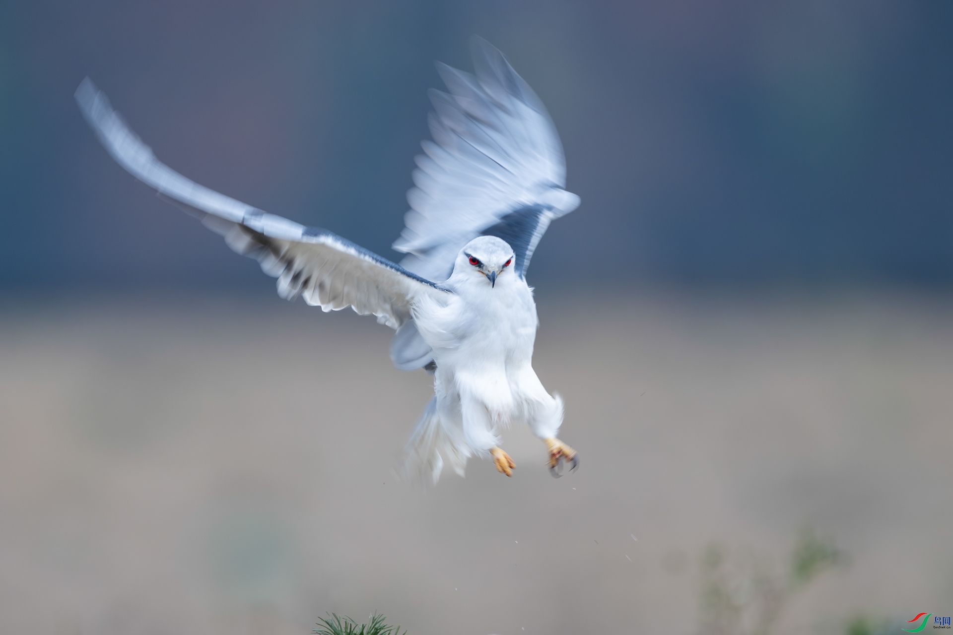 _DSC8358-����ǿ-NR ����.jpg