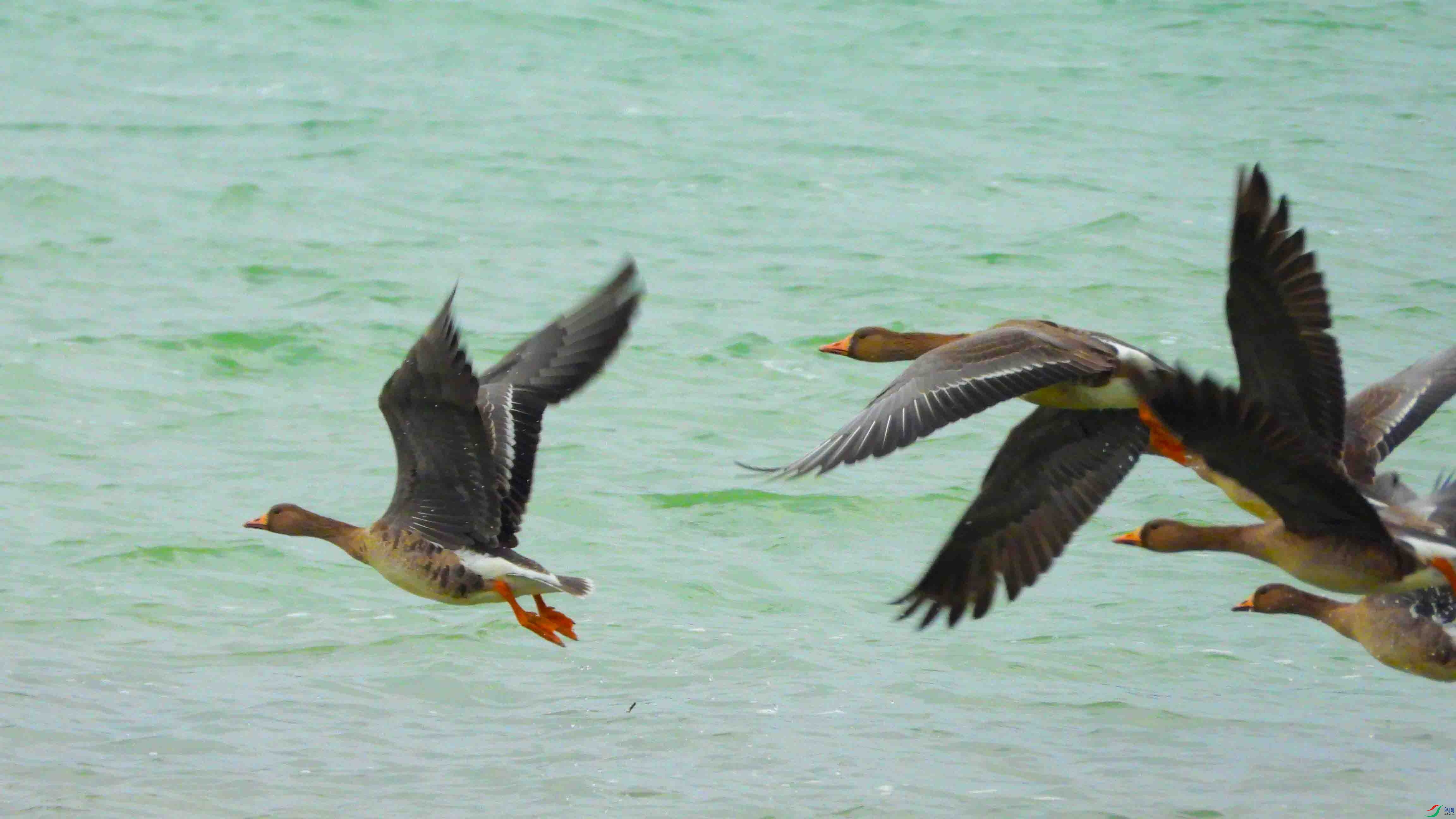 DSCN9574 ����.jpg