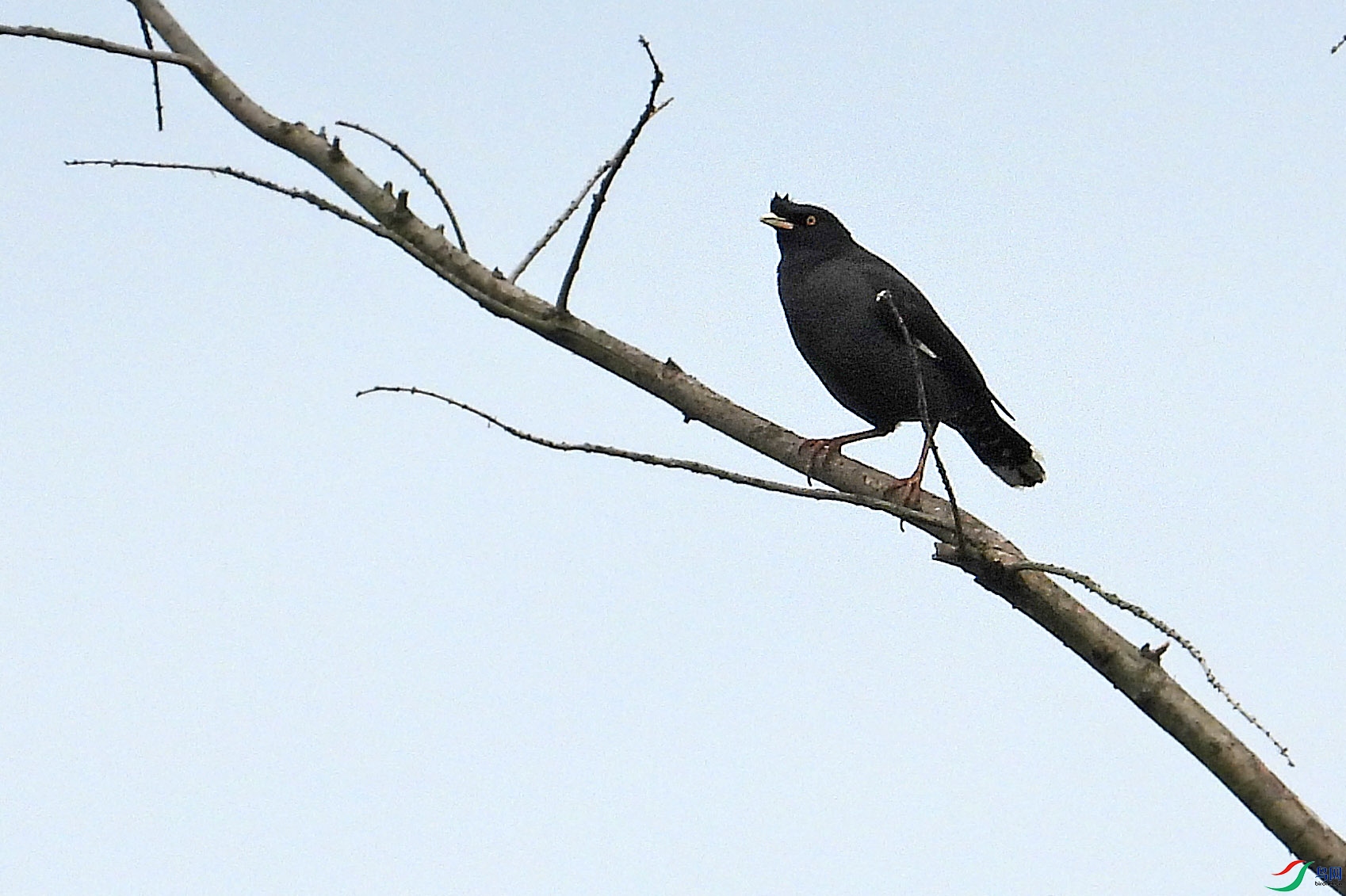 IMG_1956.JPG