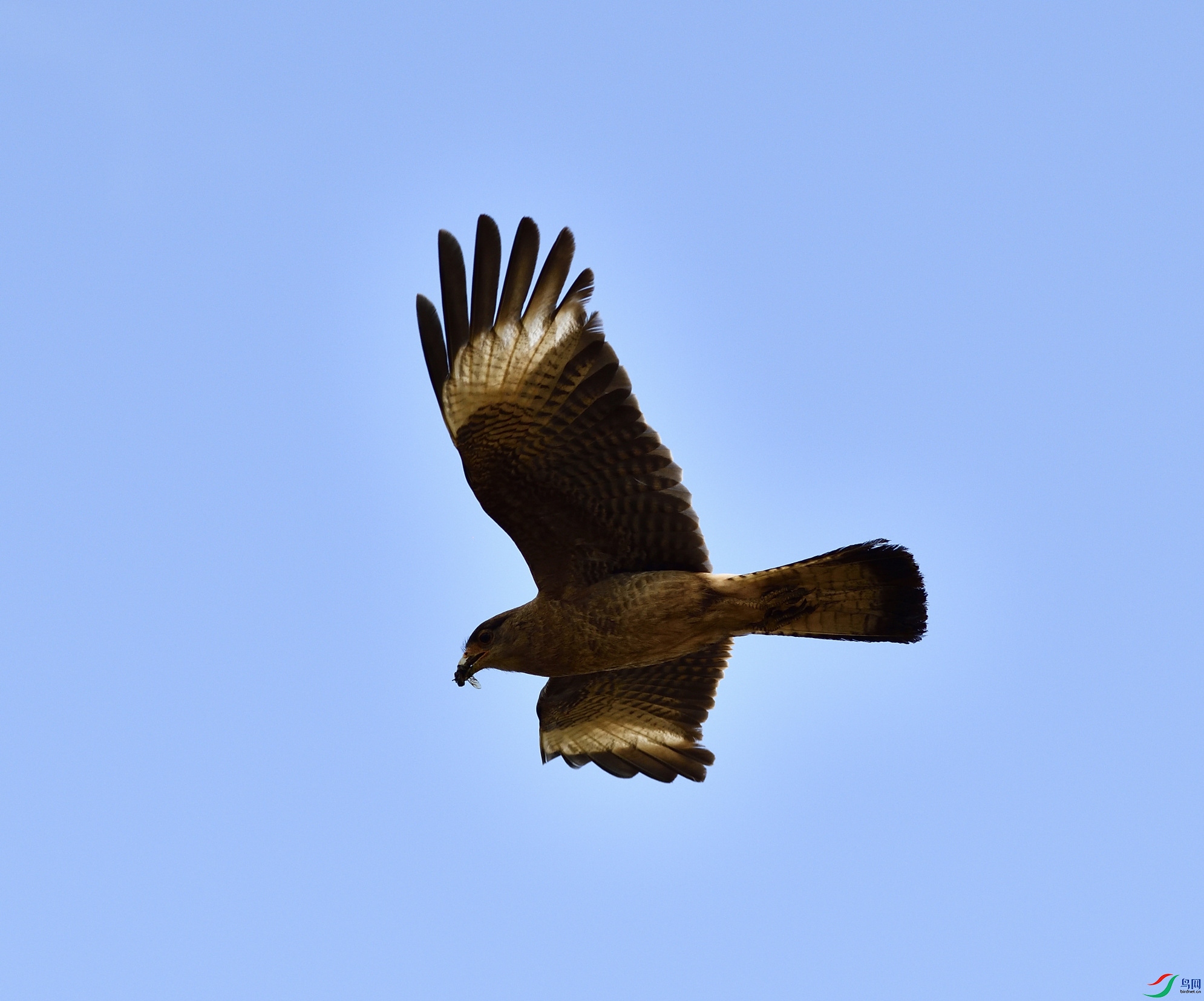 _DSC4285_01_01.JPG