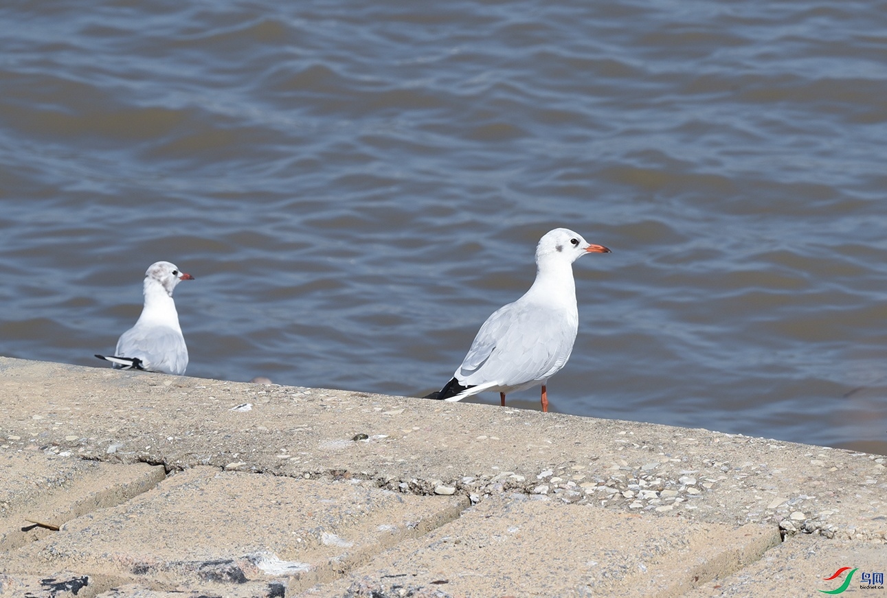 DSC_5148f_��ͼ��.jpg