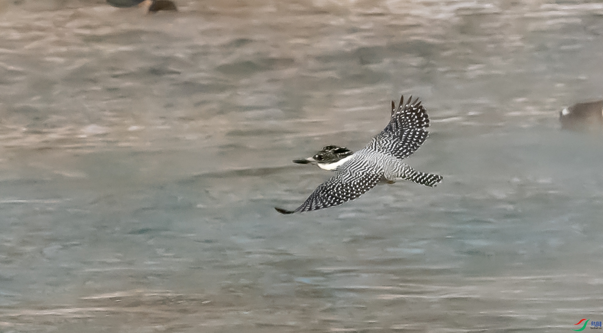DSC_2728.jpg