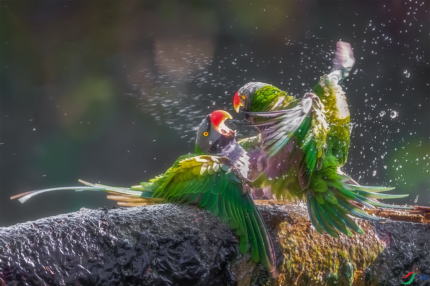 ����������----צ๴�ս������