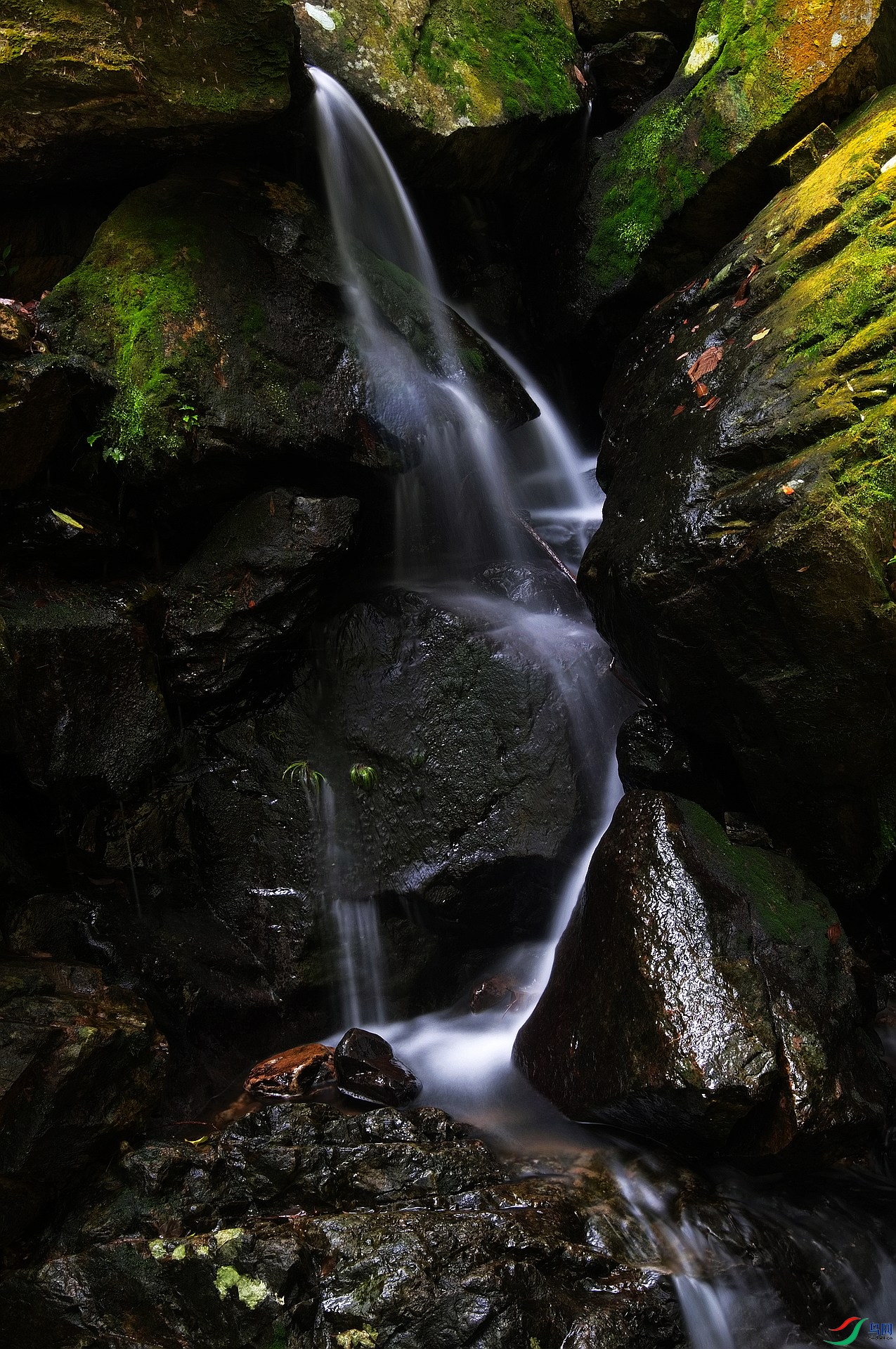 DSC_1140.jpg