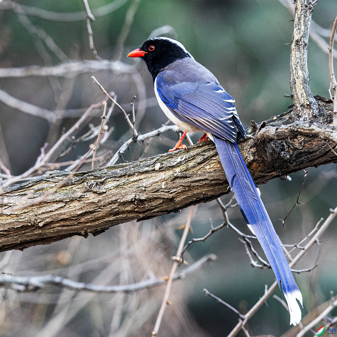 _90I8912 ����.jpg