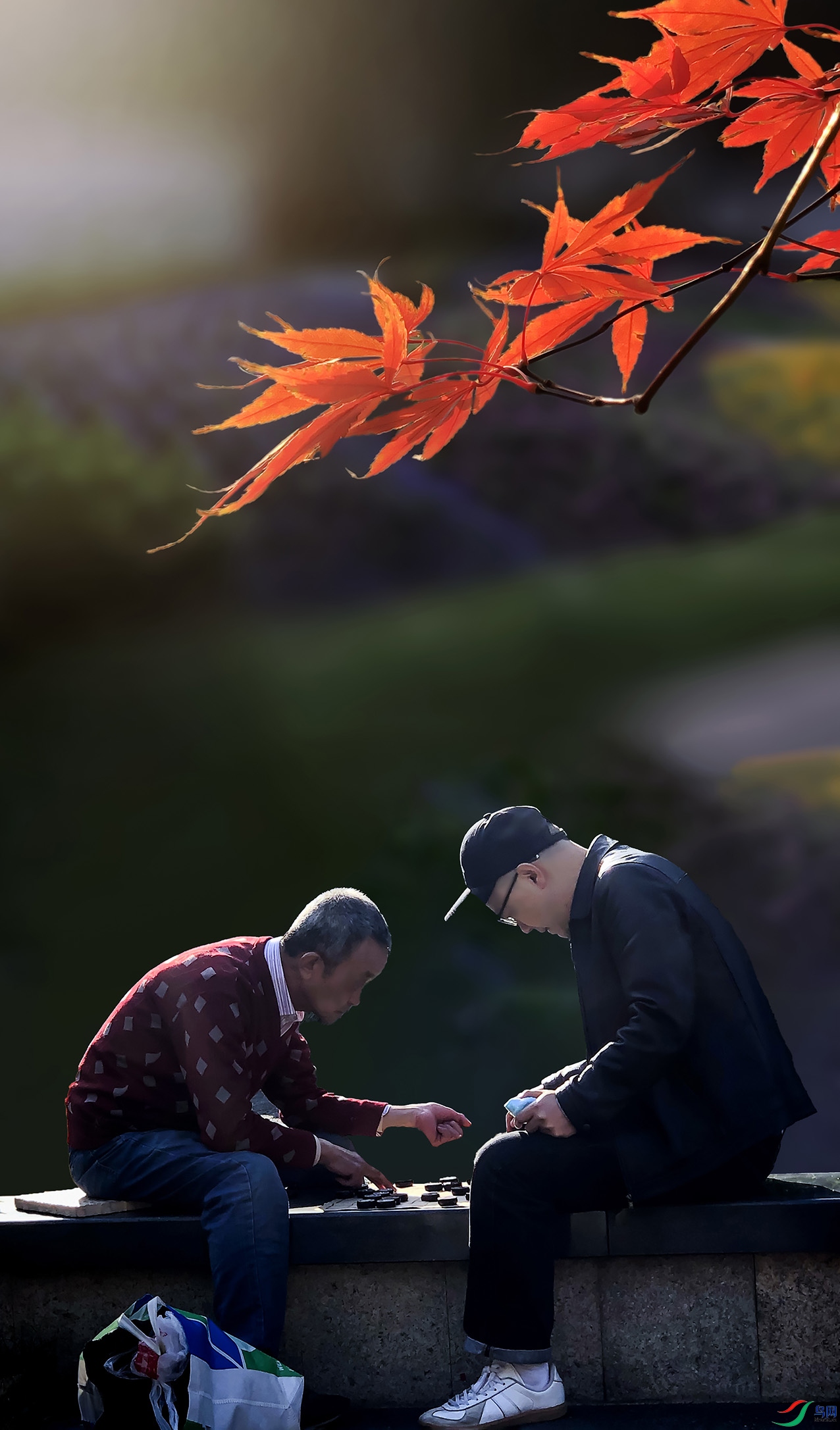 WechatIMG397 ����.jpg