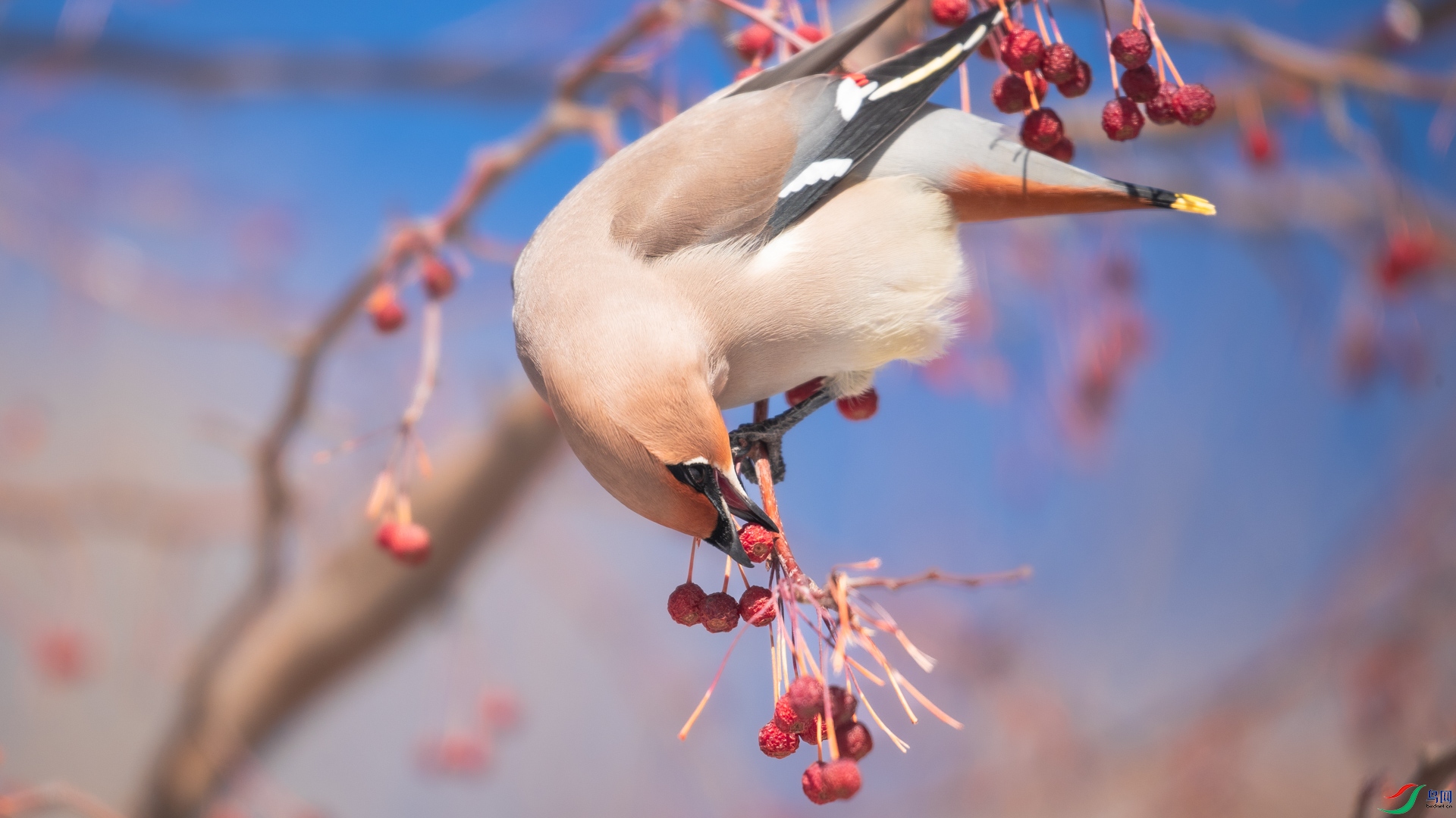 һ��һ���͸��ң�һ��