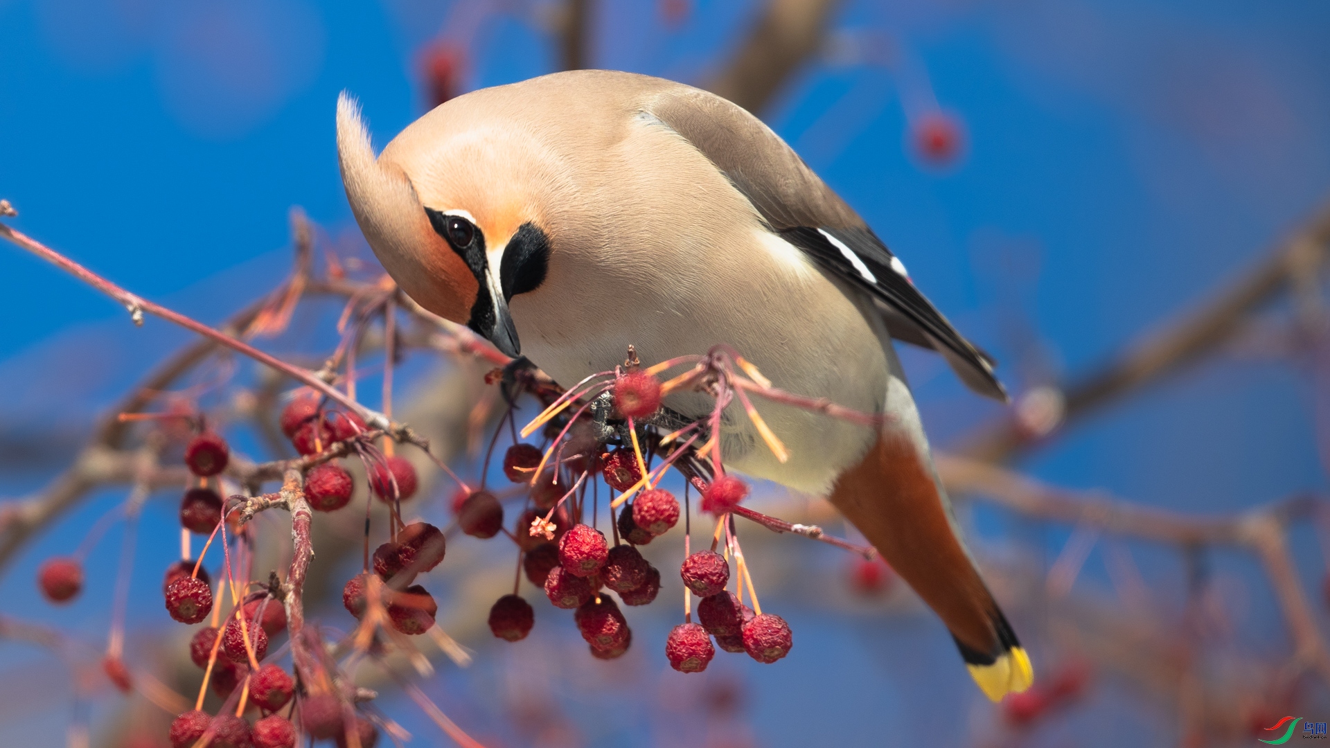 һ��һ���͸��ң�����