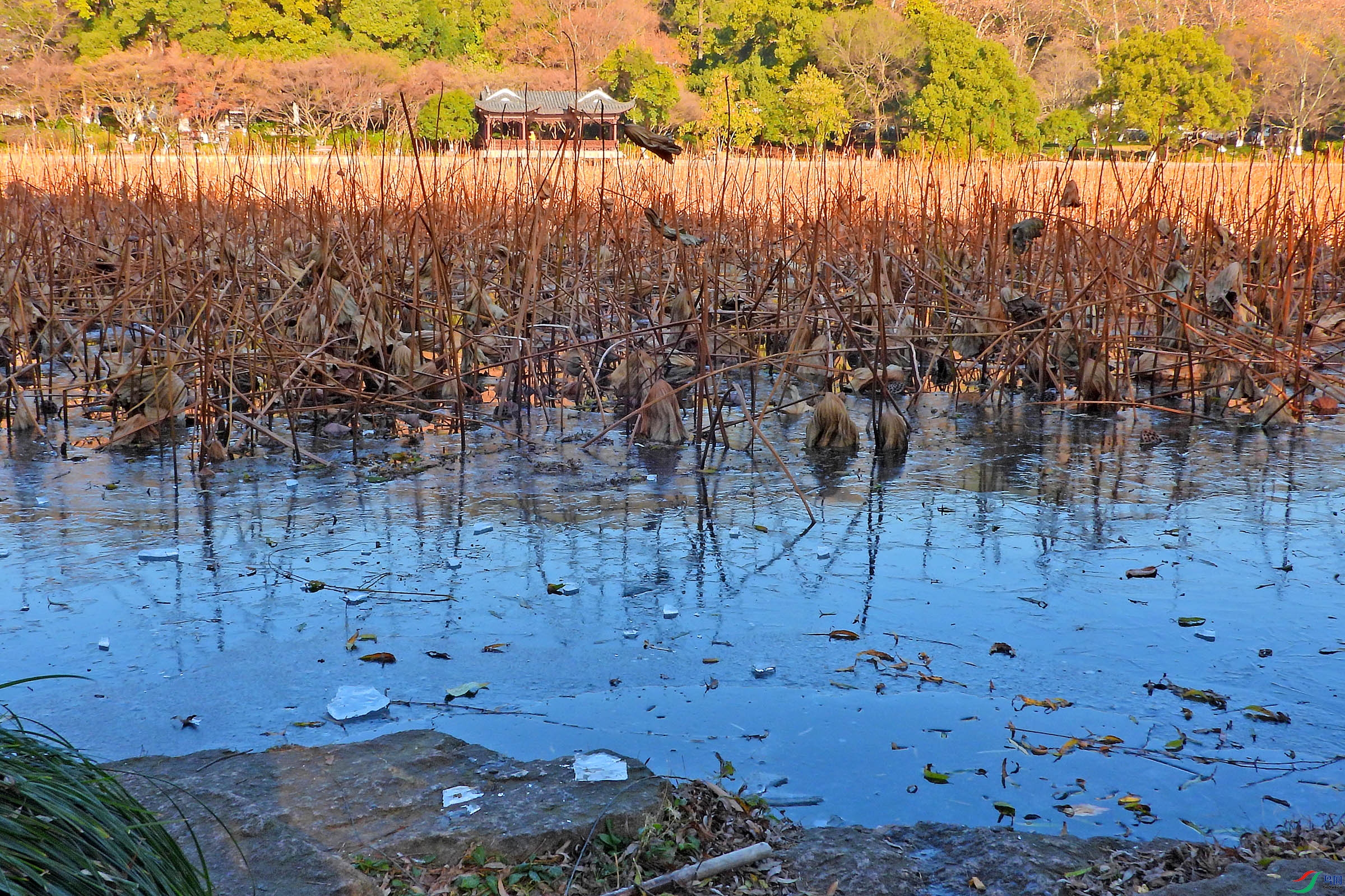 DSCN1820.JPG