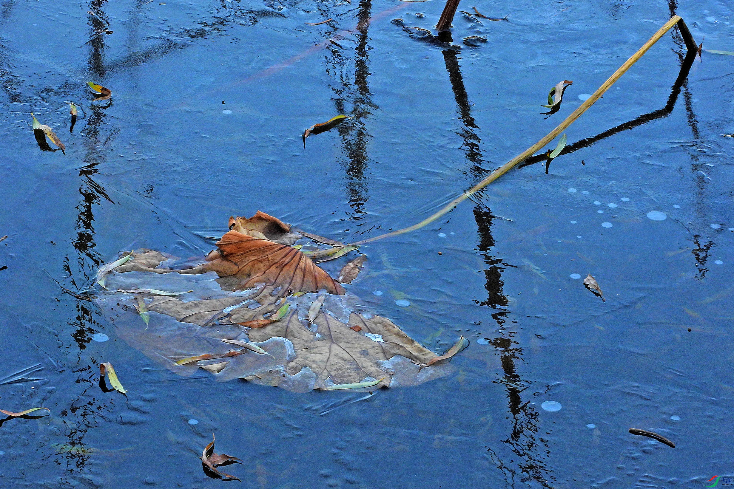DSCN1824.JPG