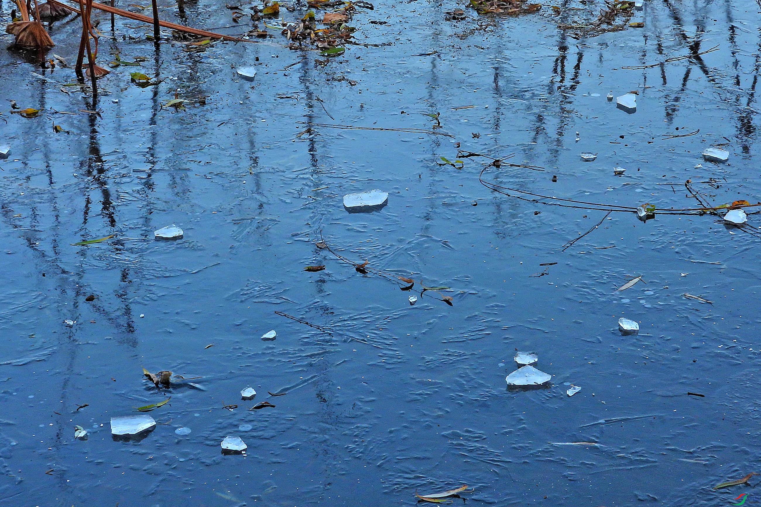 DSCN1822.JPG