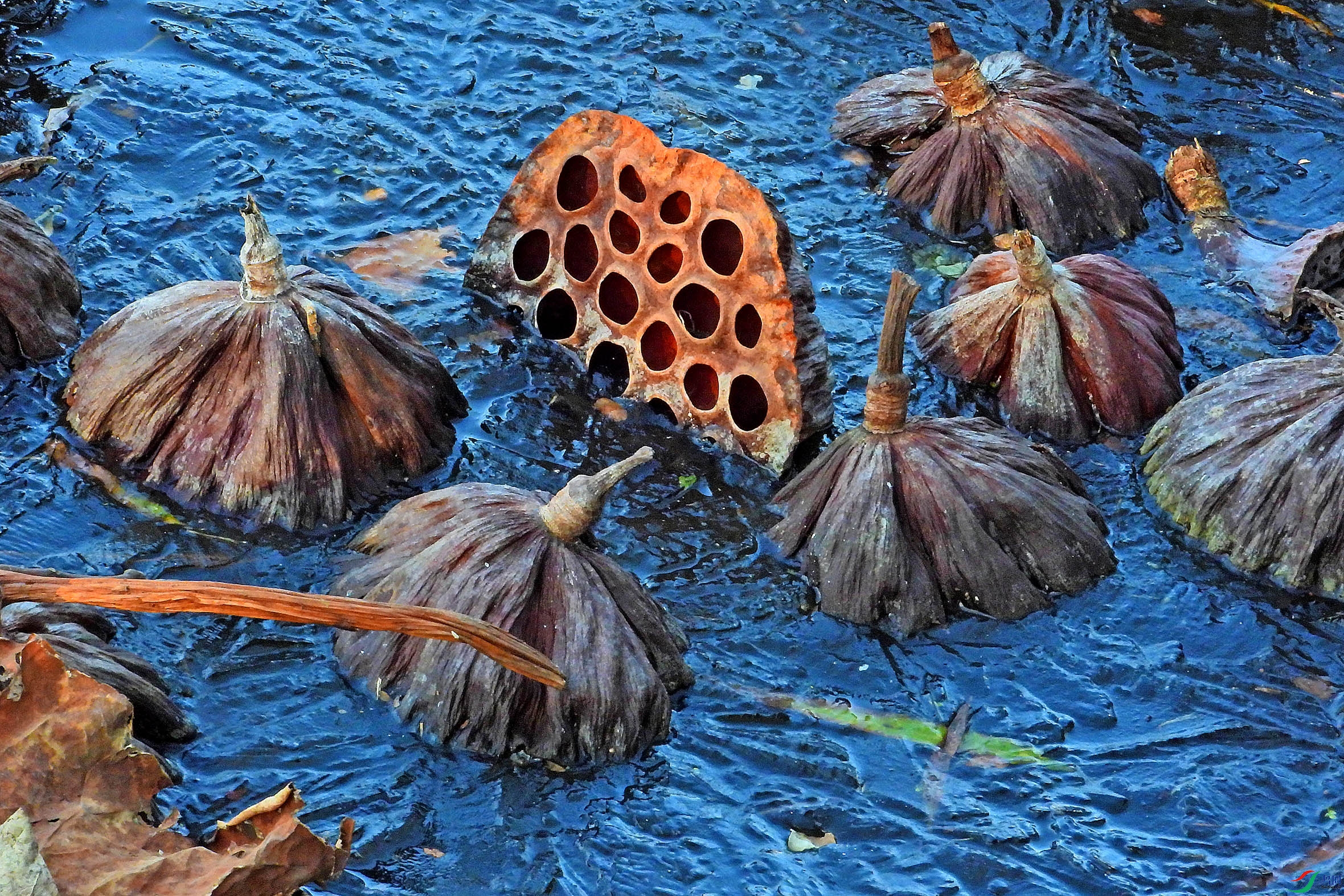 DSCN1830.JPG