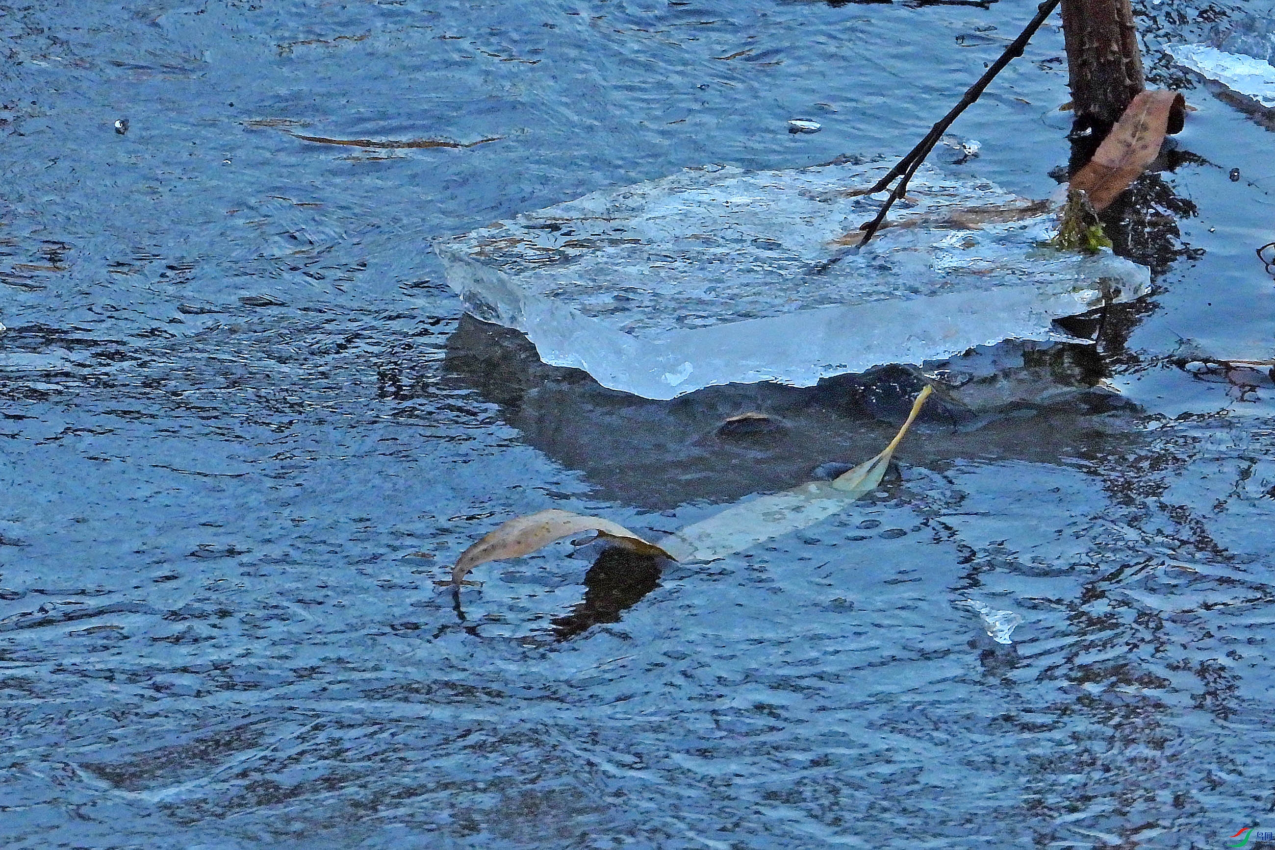 DSCN1835.JPG