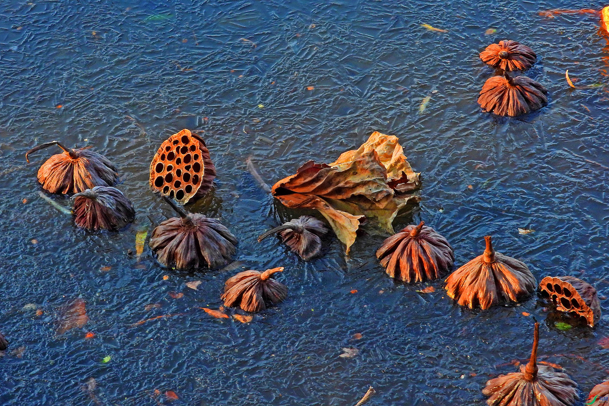 DSCN1825.JPG