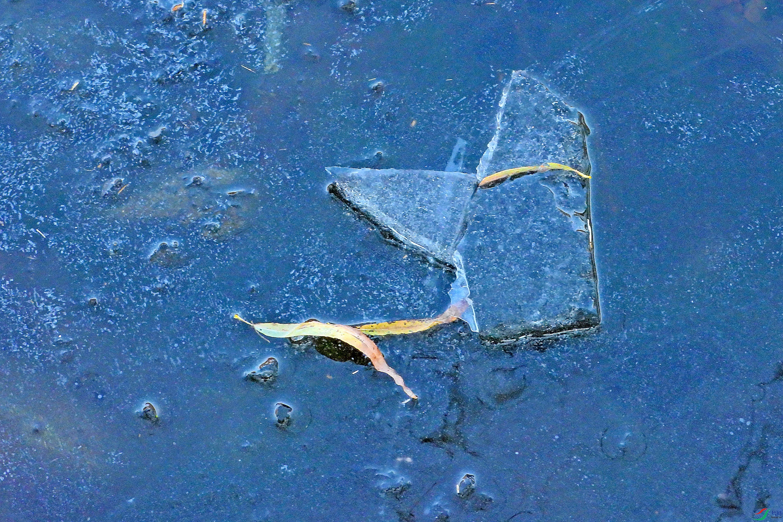 DSCN1833.JPG