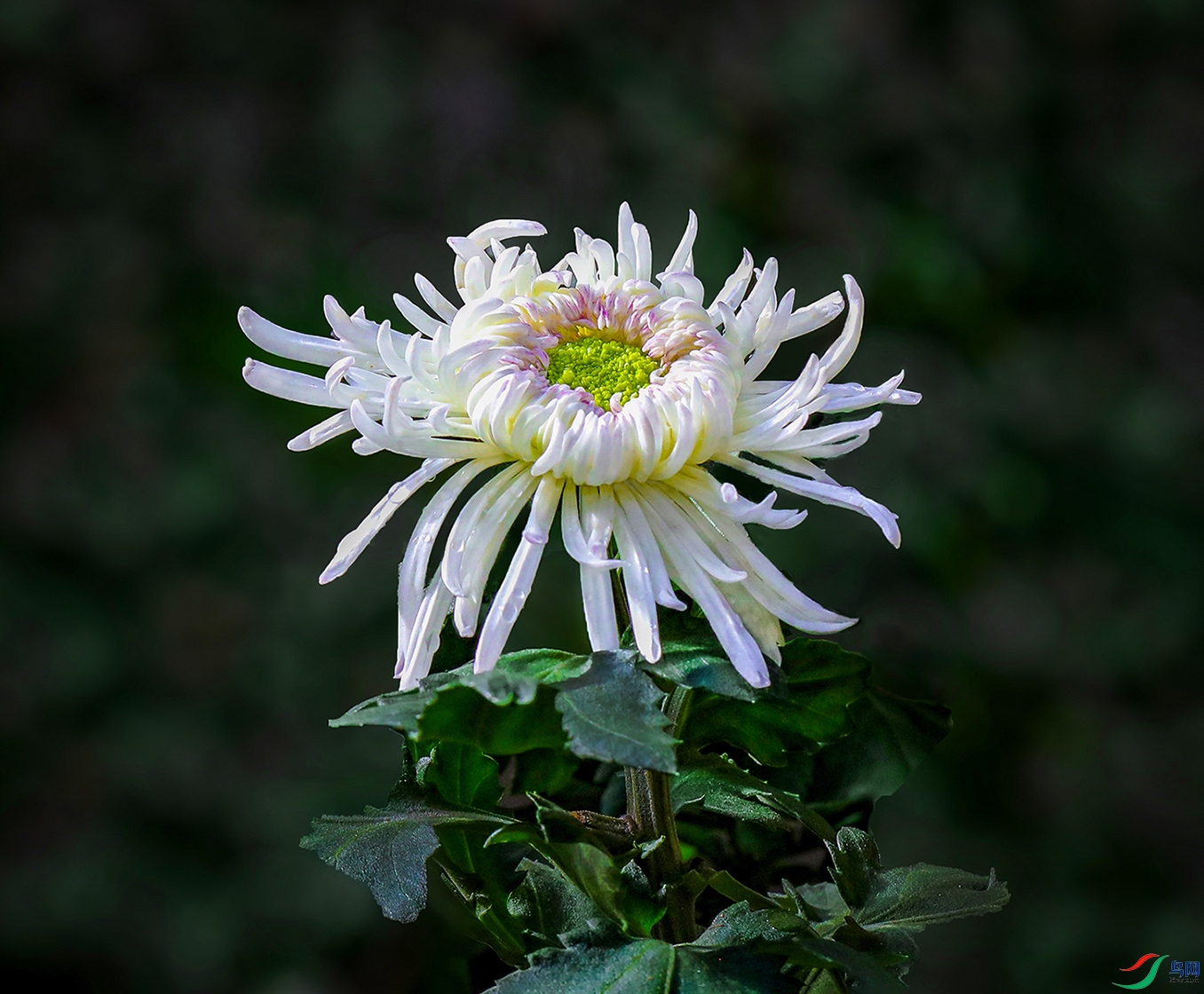 0000IMG_0920 �����й�1000k.jpg