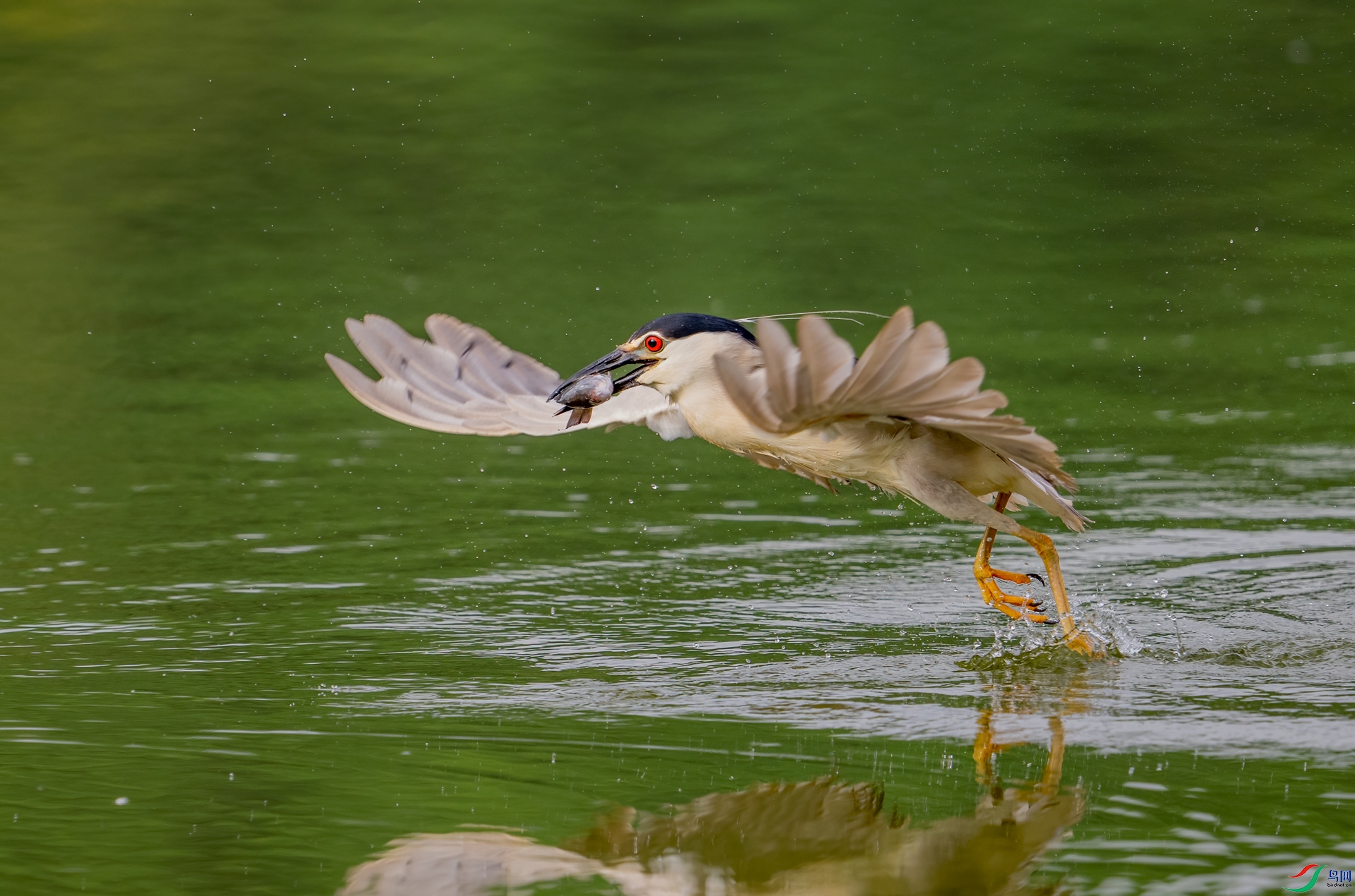 DSC_0766.jpg