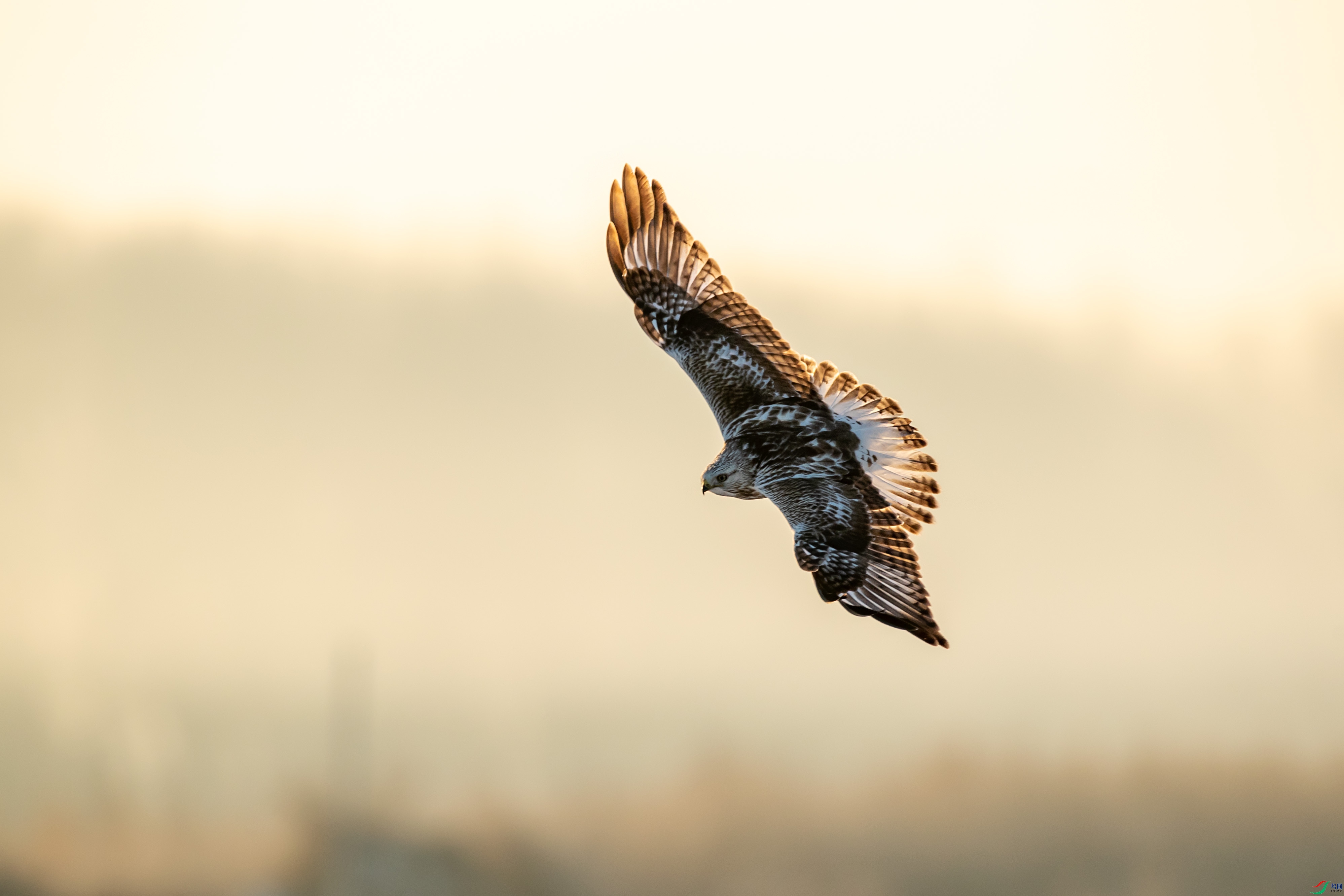 AN1I6647 ����.jpg