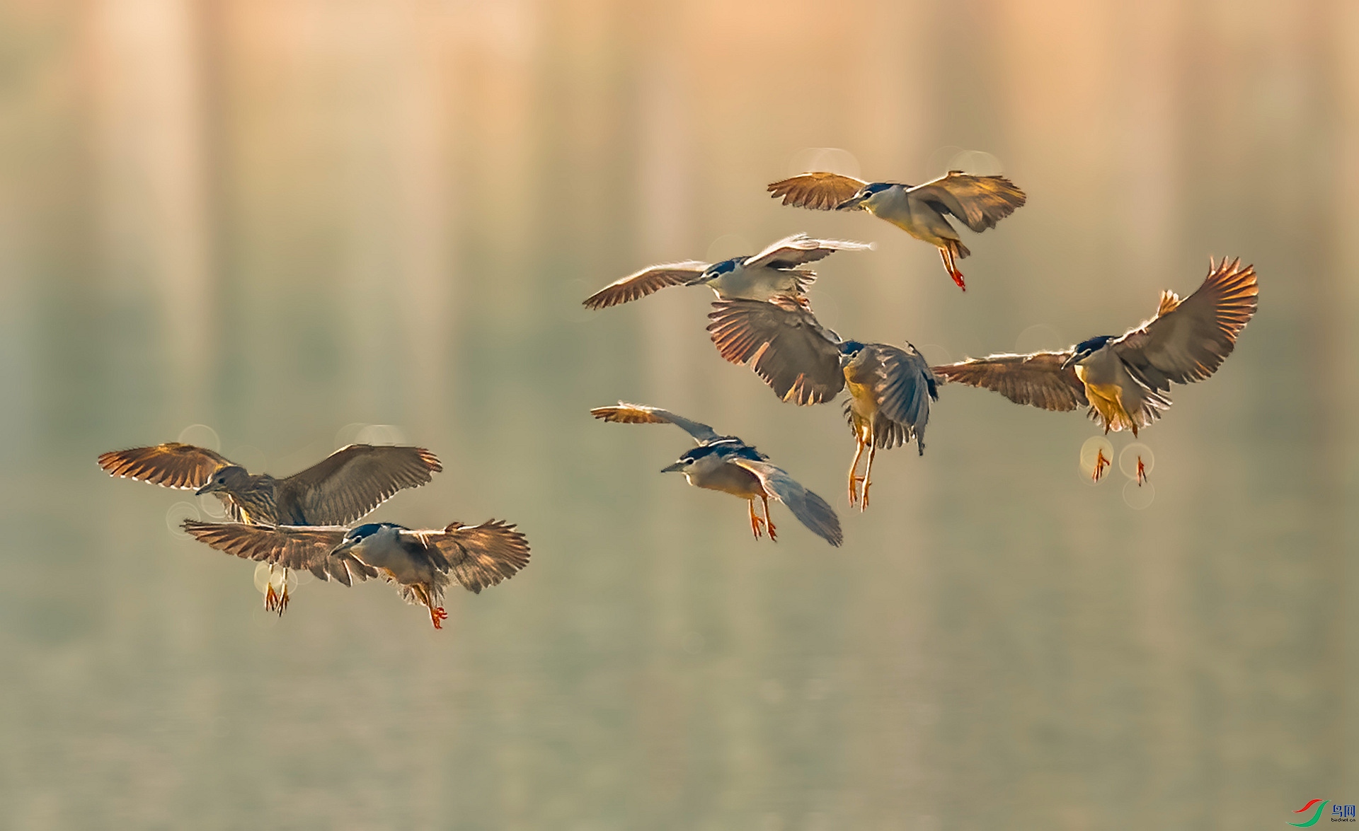 DSC_6515 ����_����.jpg