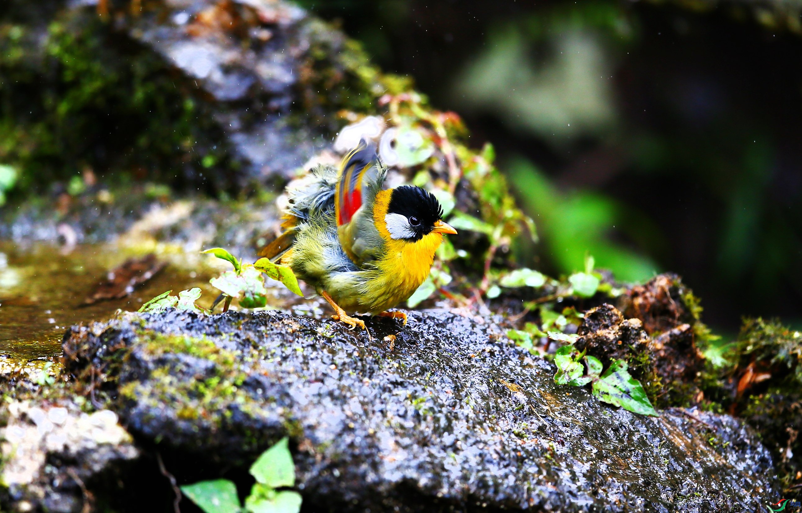 ������˼ȸ (45).JPG