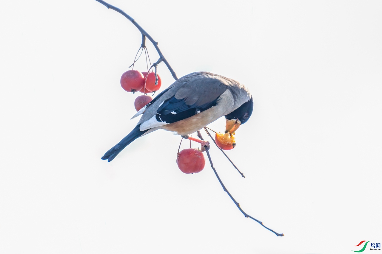 DSCF7455-����ǿ-����-�༭-�༭-�༭.jpg