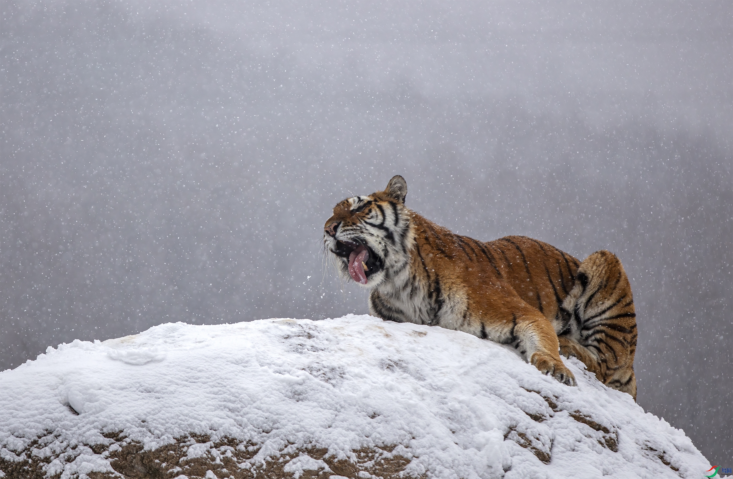 CB0A9198 ����1.jpg