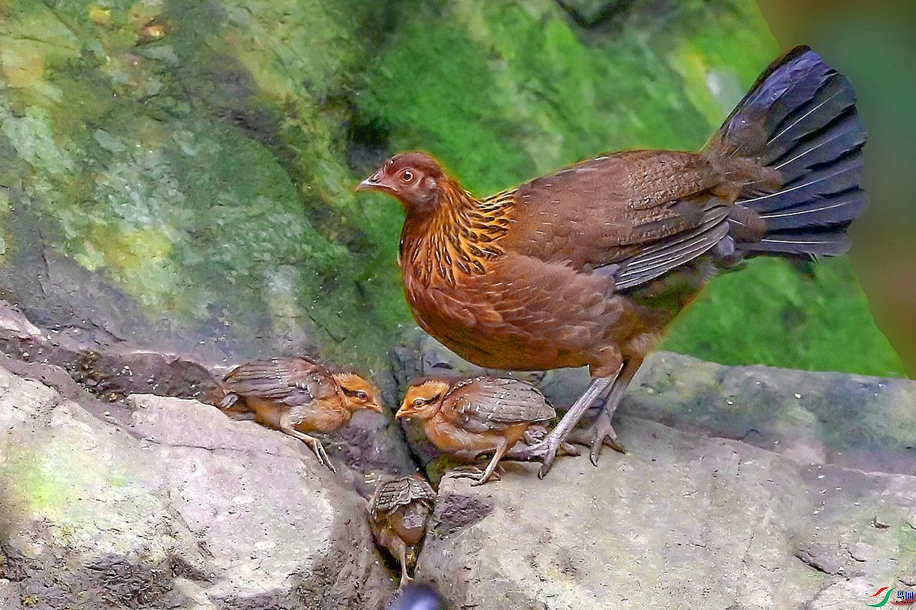 131 _����.jpg