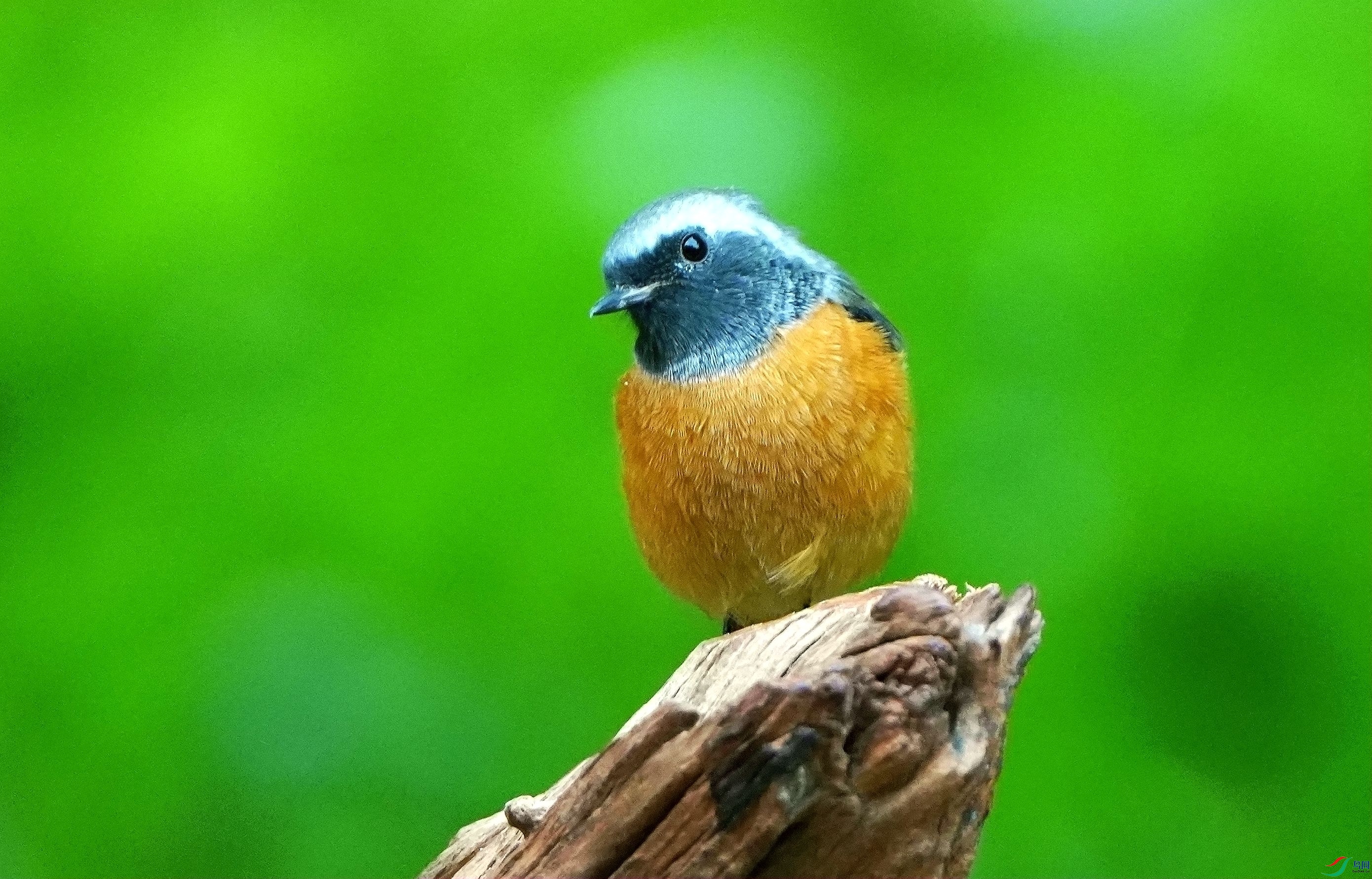 Ѱ˼DSC05569_����.jpg
