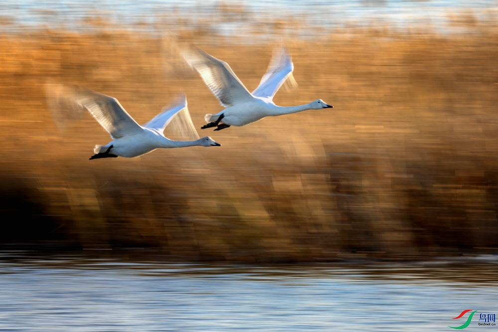 _X7A9743 ����-2.jpeg