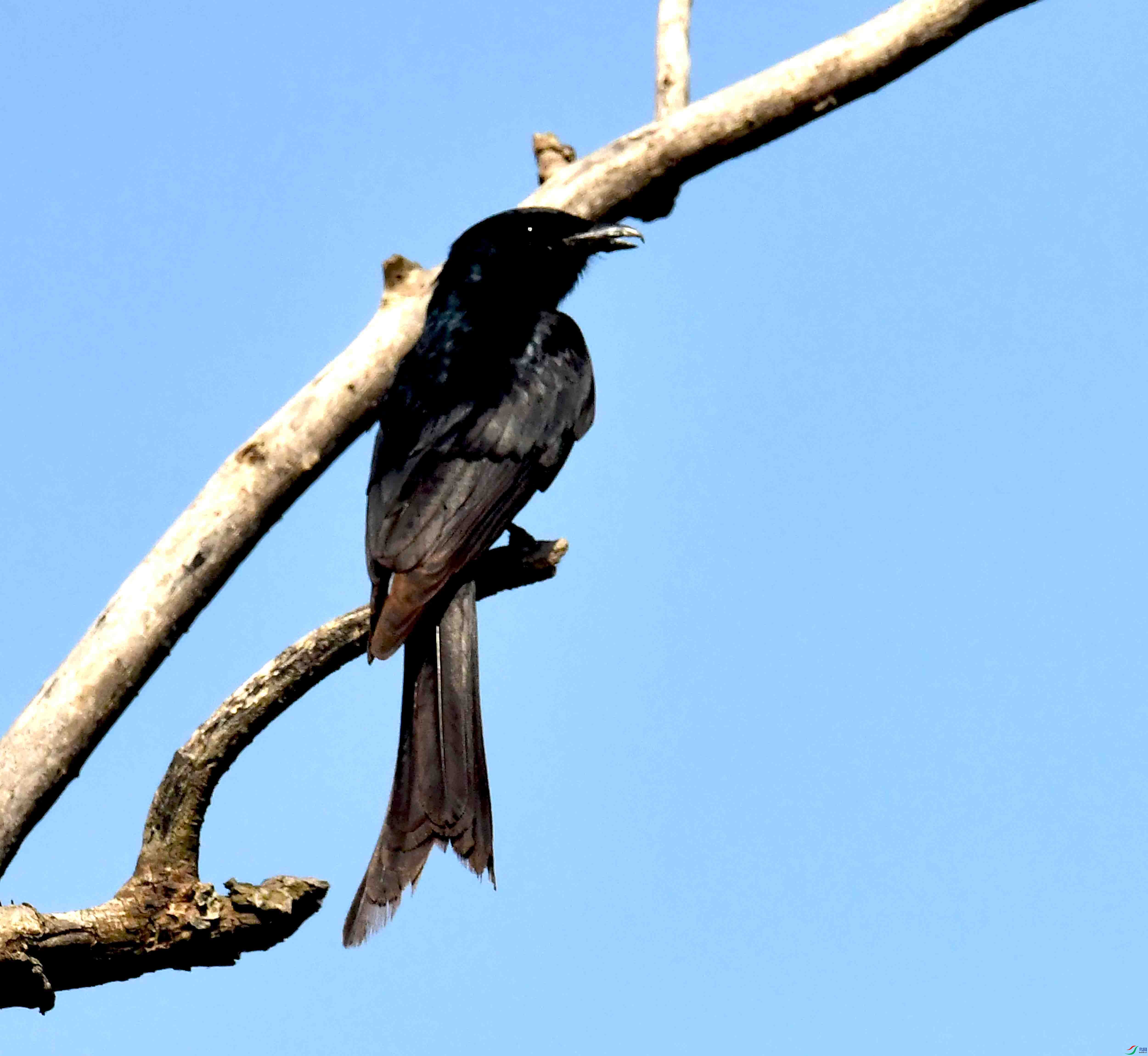 DSC_0413.JPG
