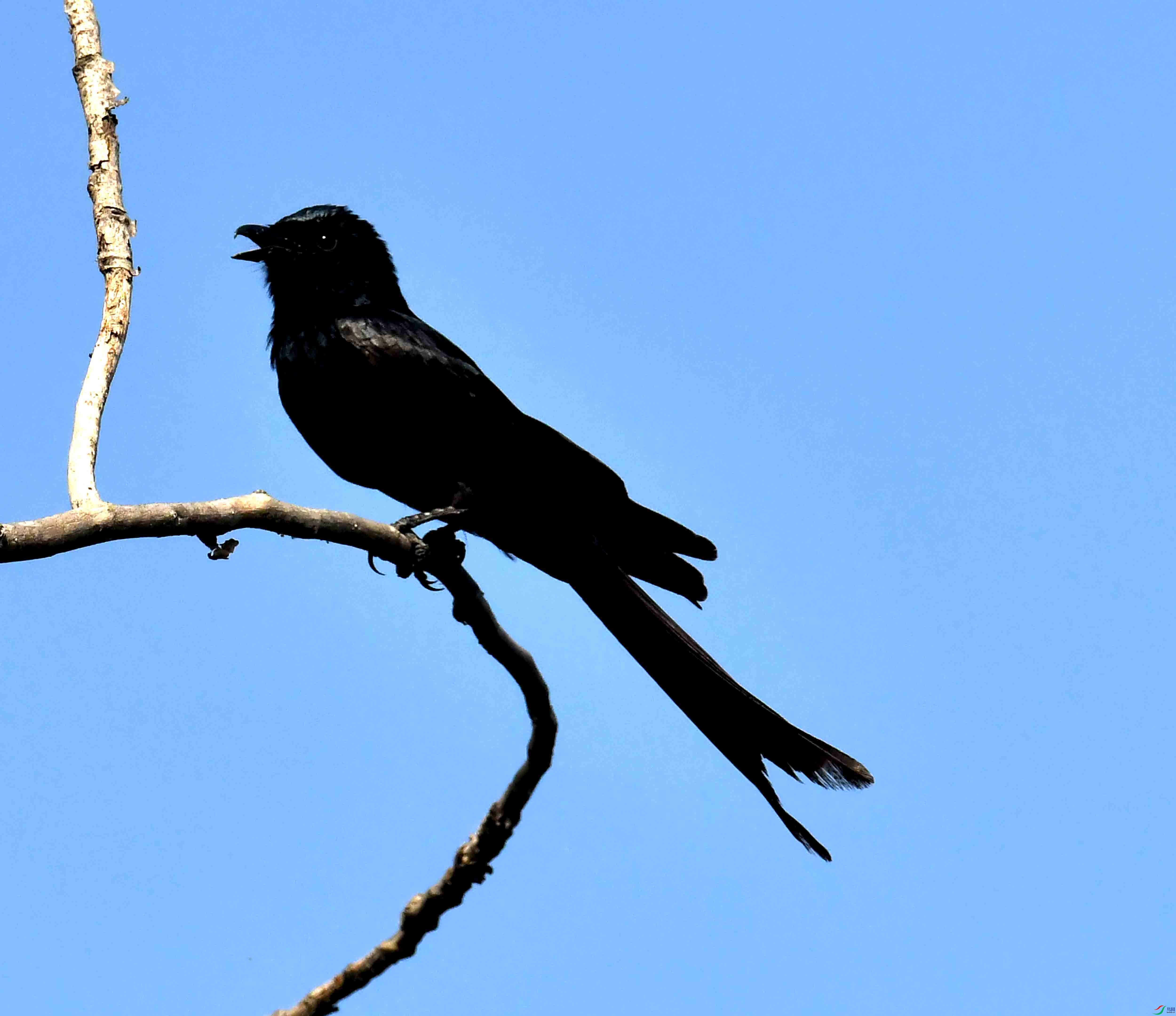 DSC_0473.JPG