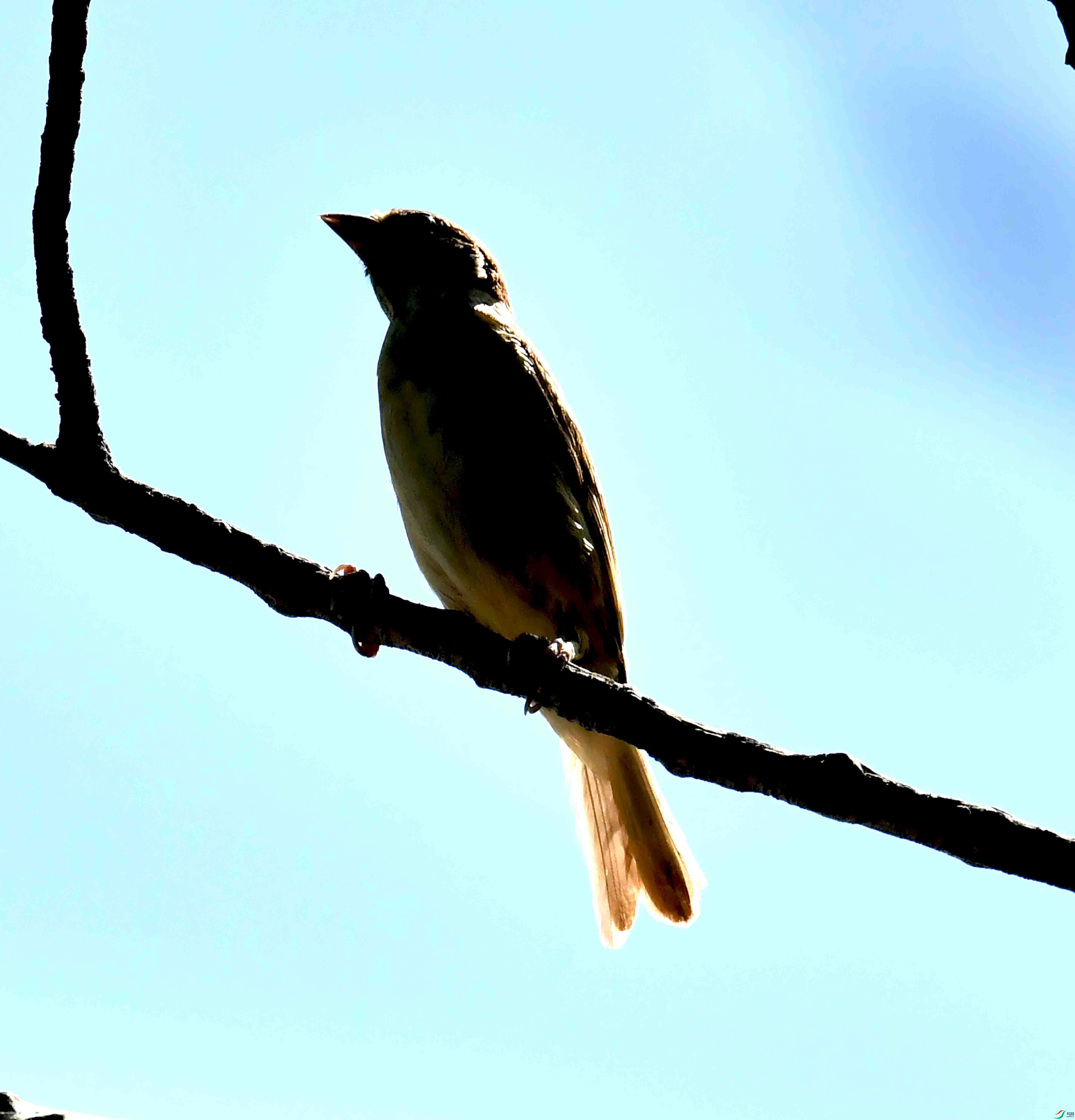 DSC_9720.JPG