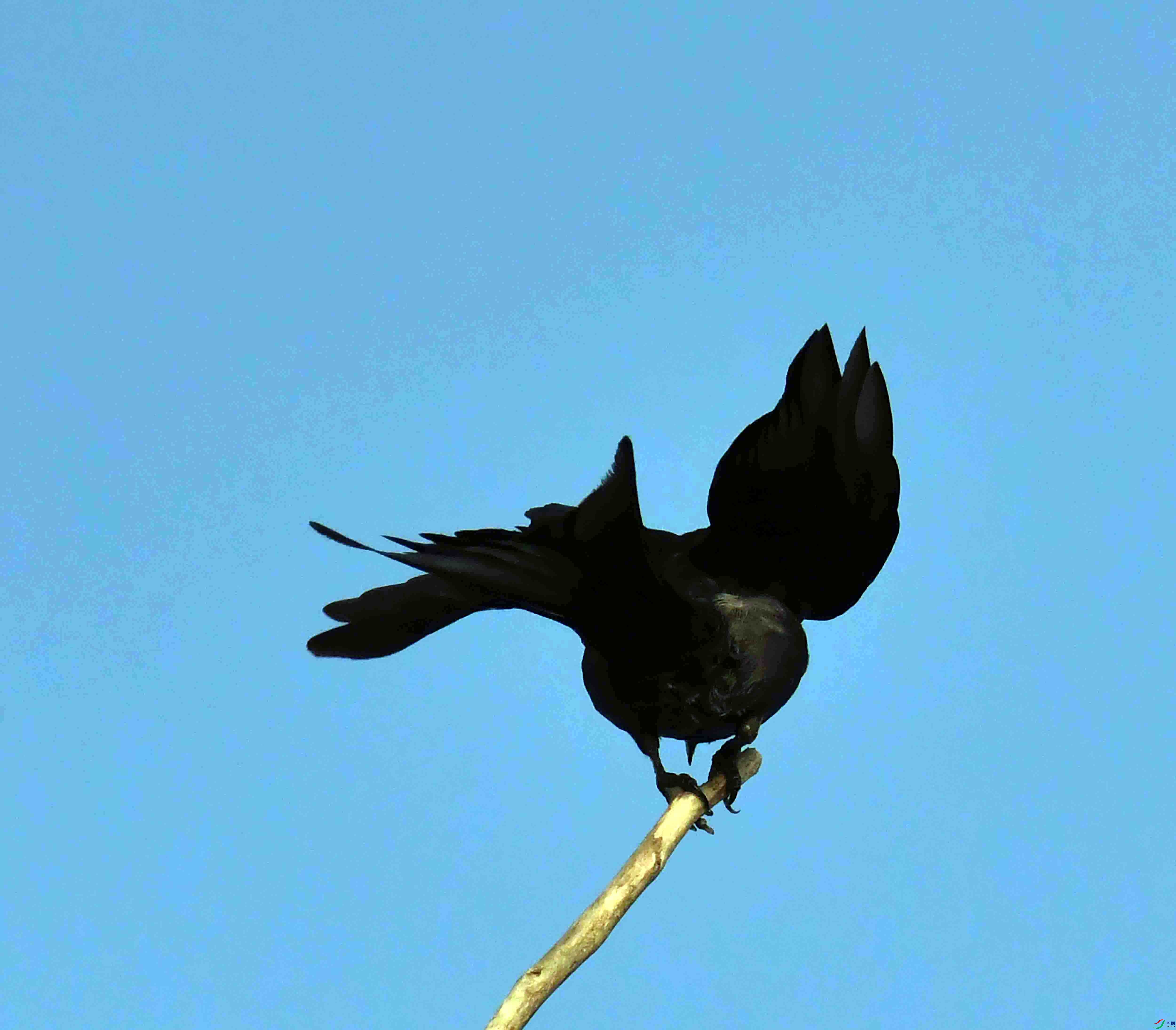 DSC_9727.JPG