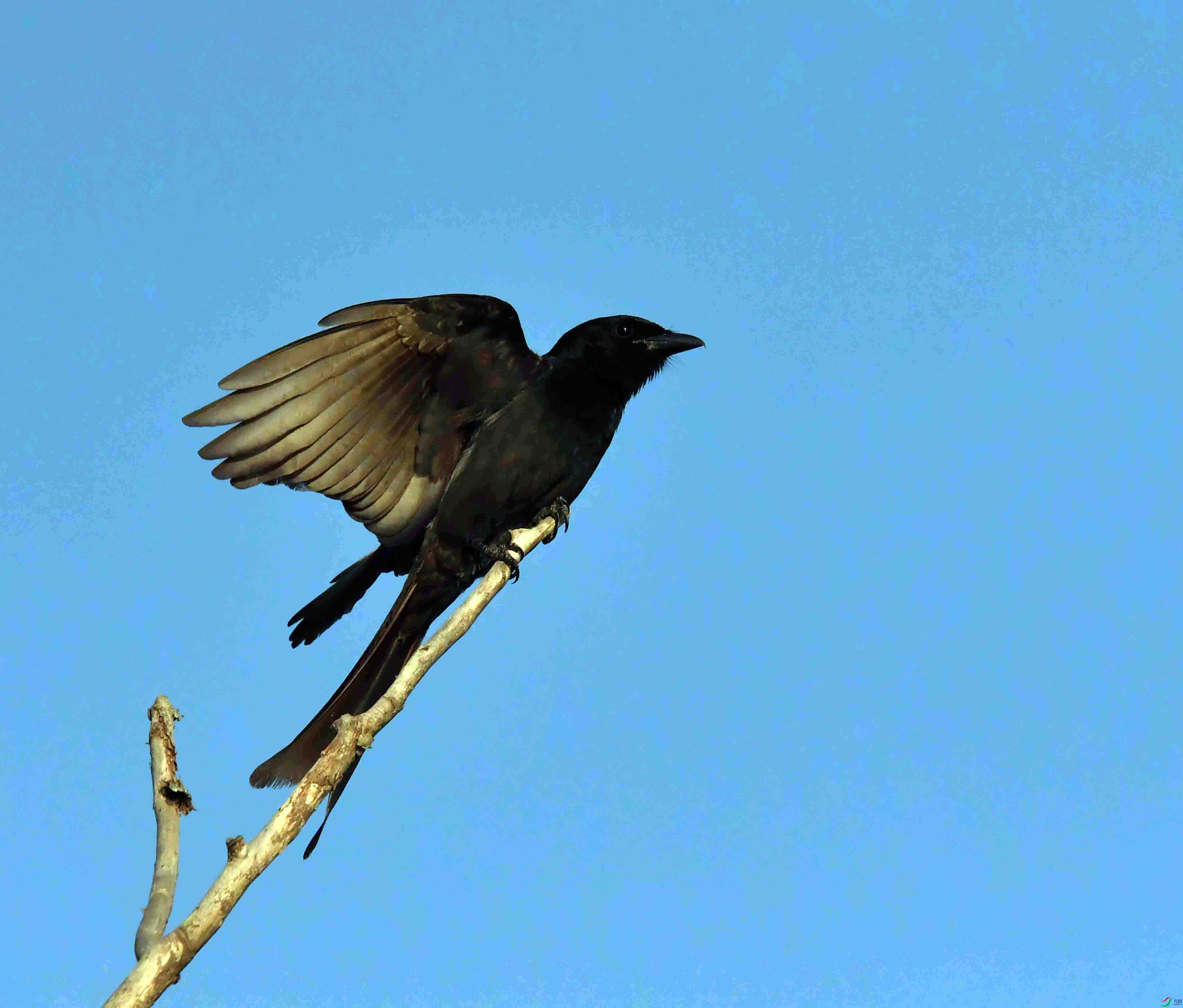 DSC_9724.JPG