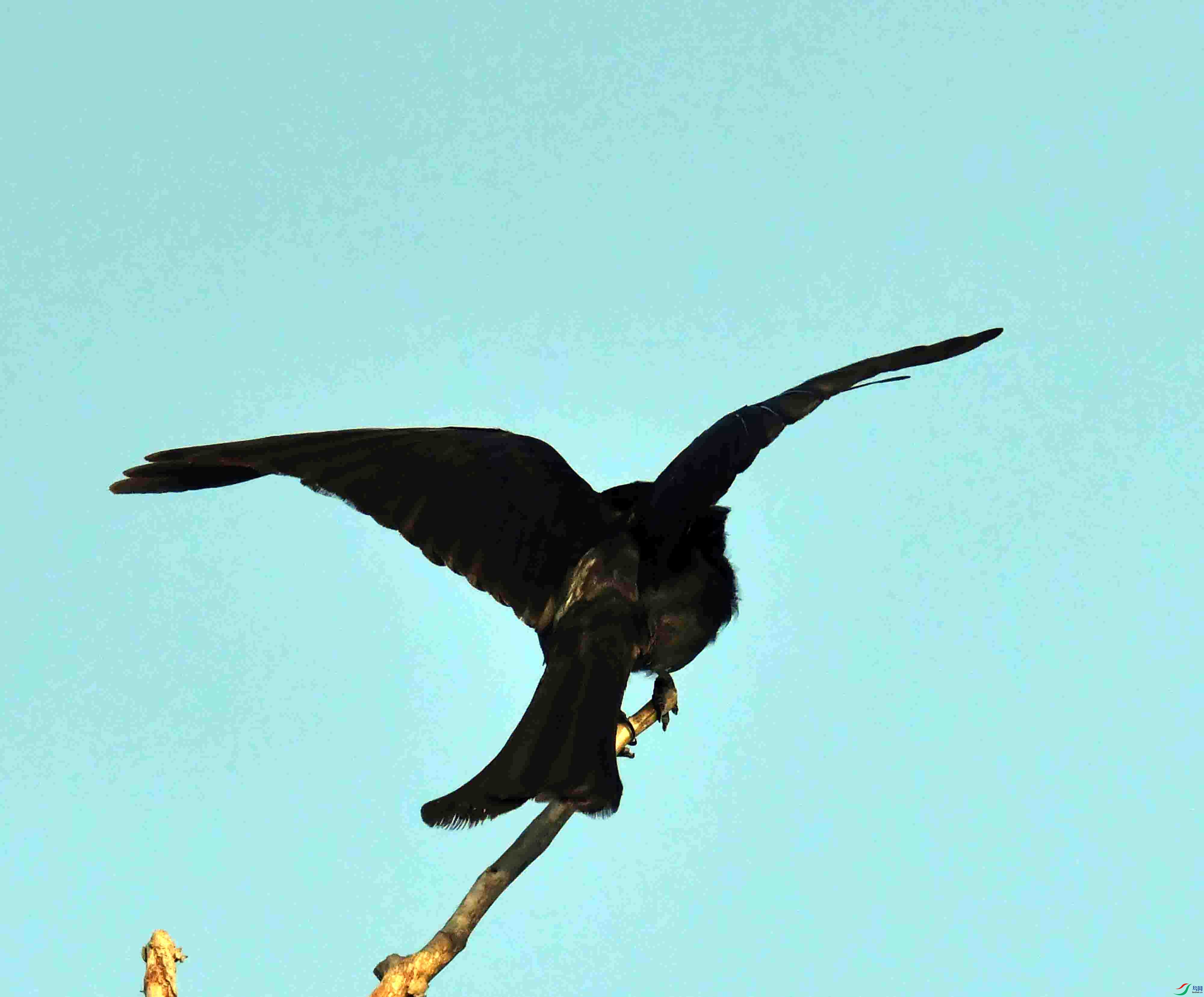 DSC_9740.JPG