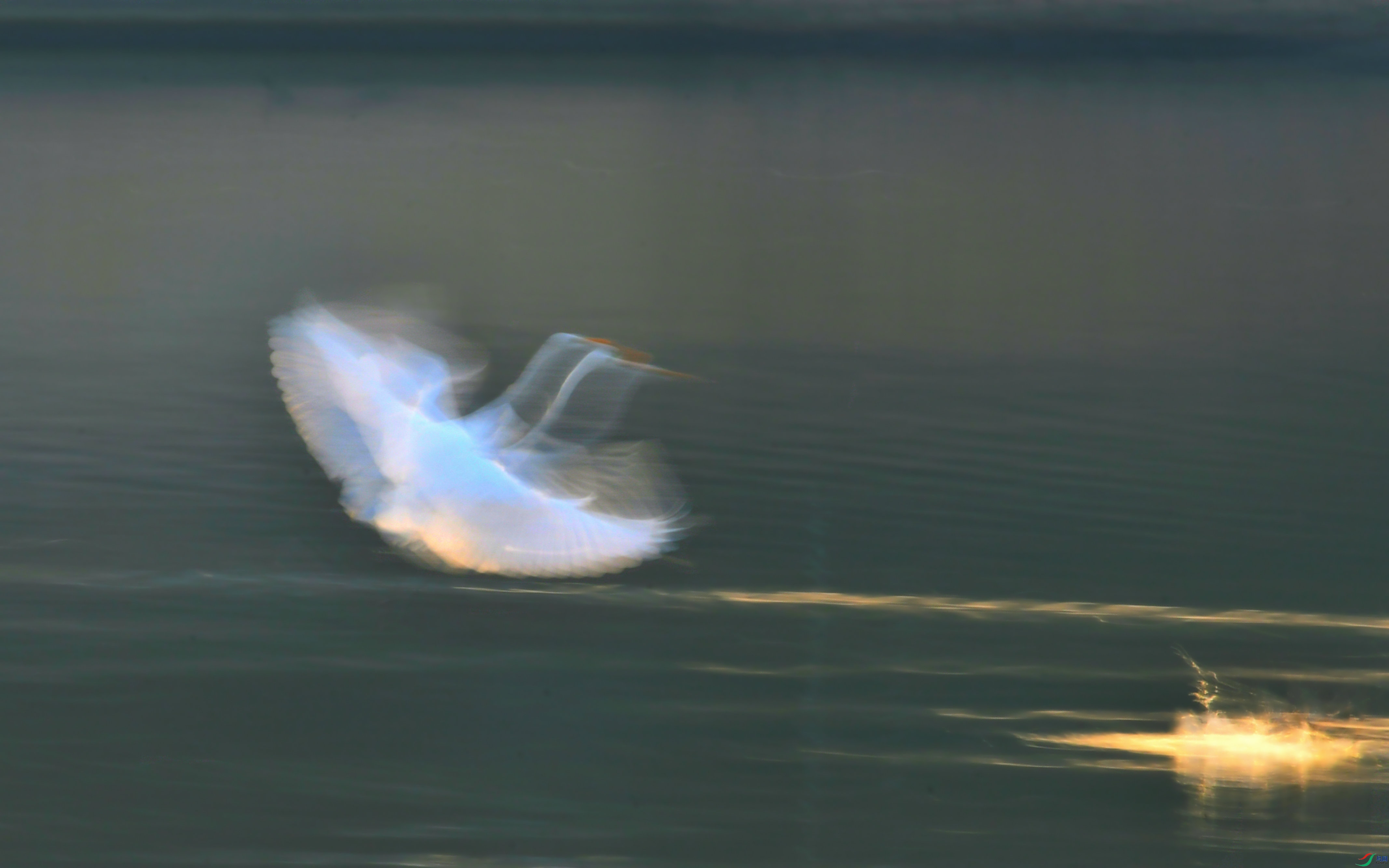 DSC_9579.JPG