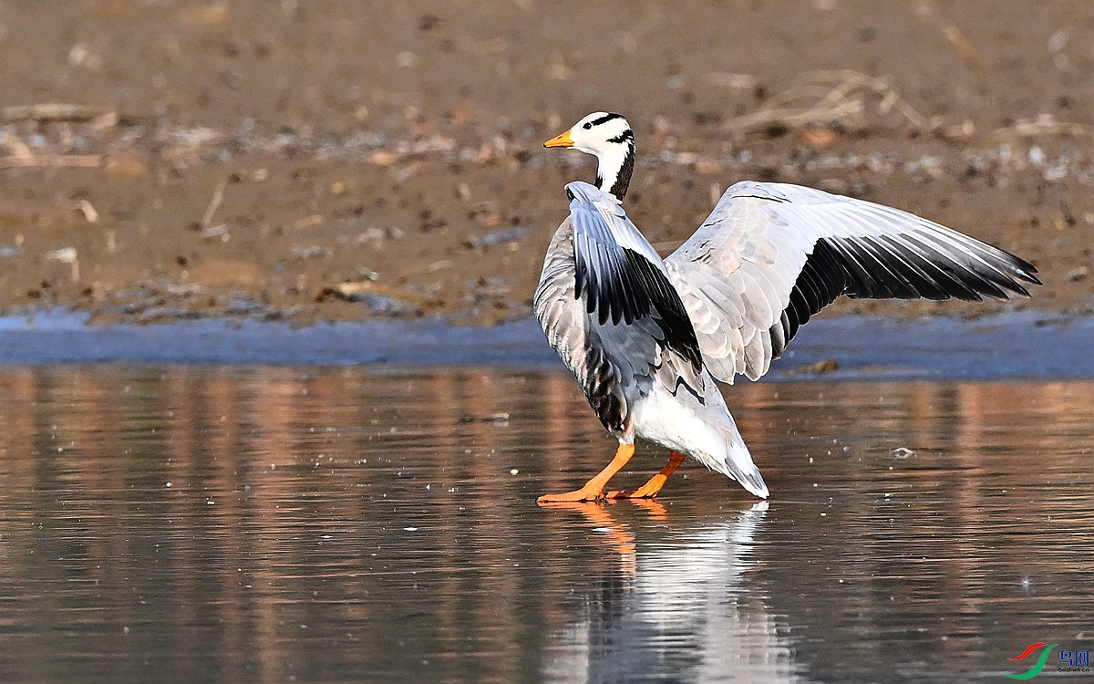 DSC_5988.JPG