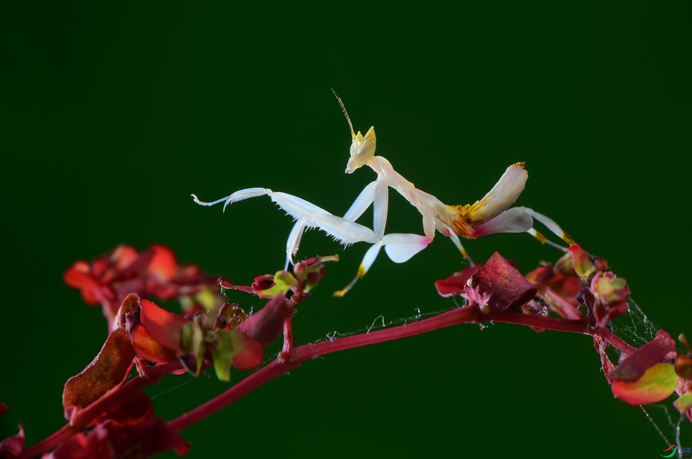 DSC_7450 ����.jpg