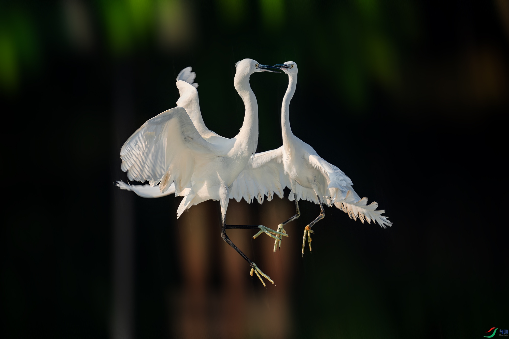 LZW06437-����ǿ-NR ����.jpg