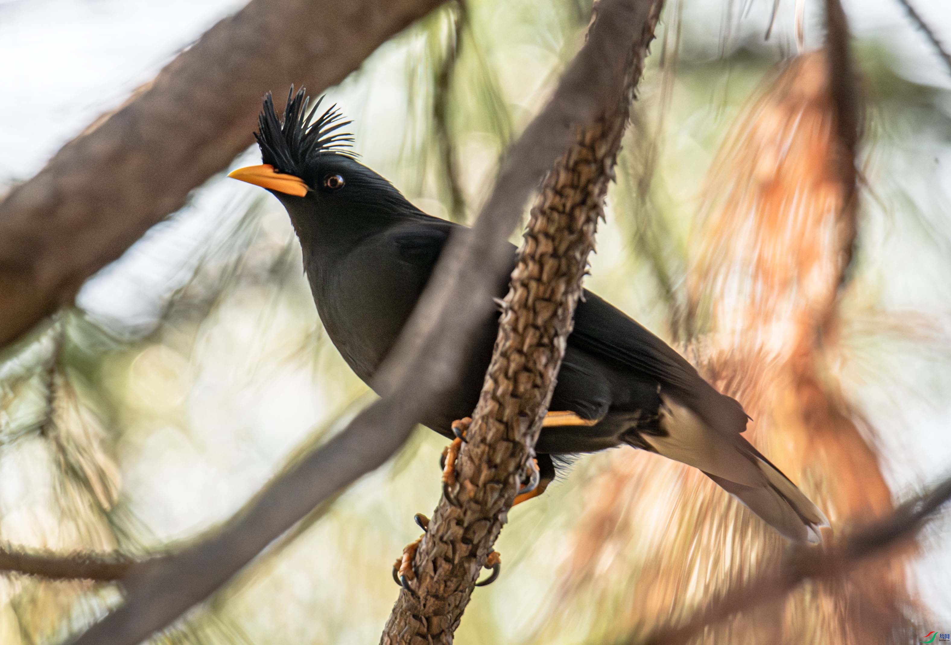 �ְ˸�Ļ���Ц��