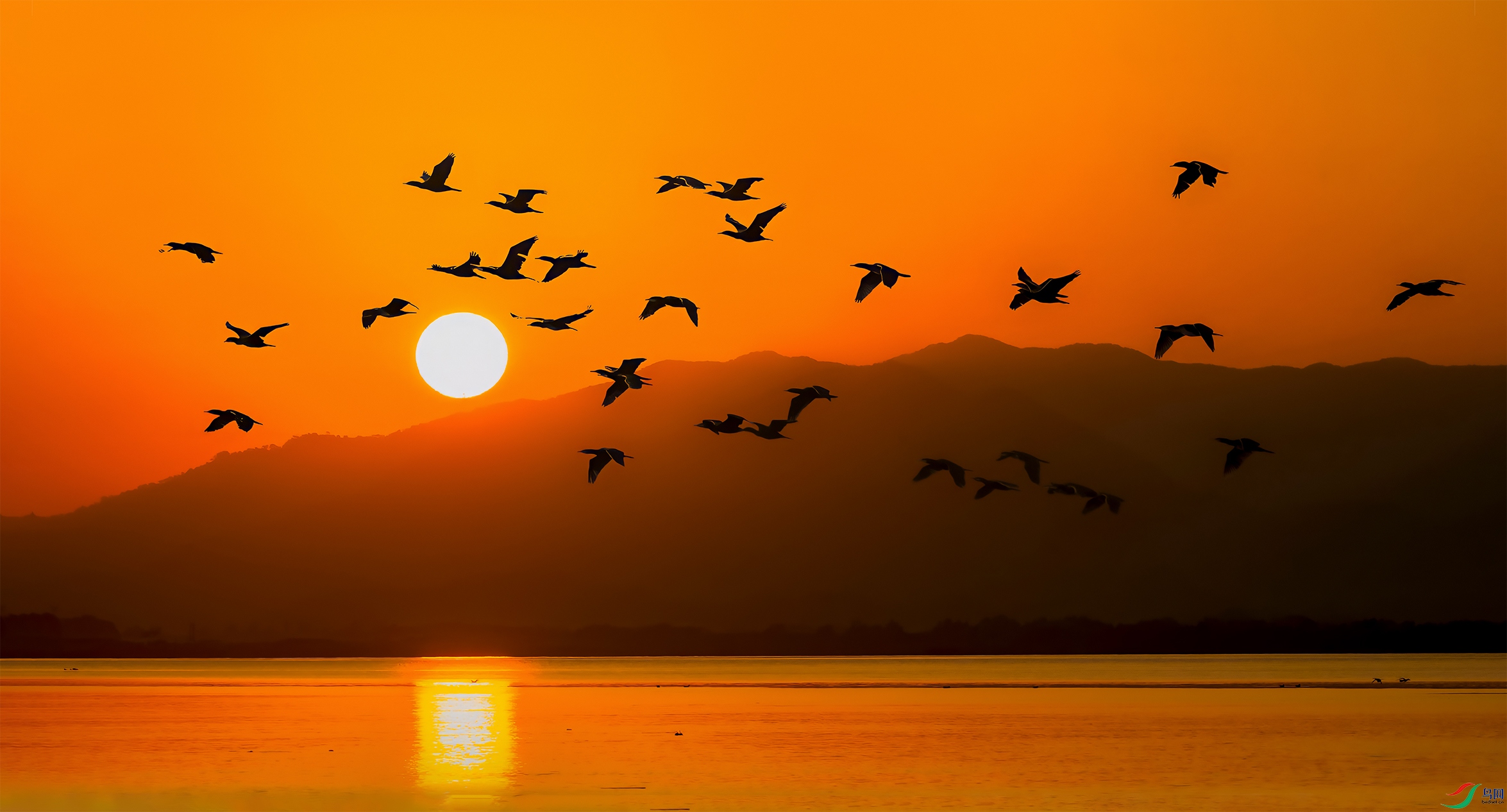 DSC_3991 ����1.jpg