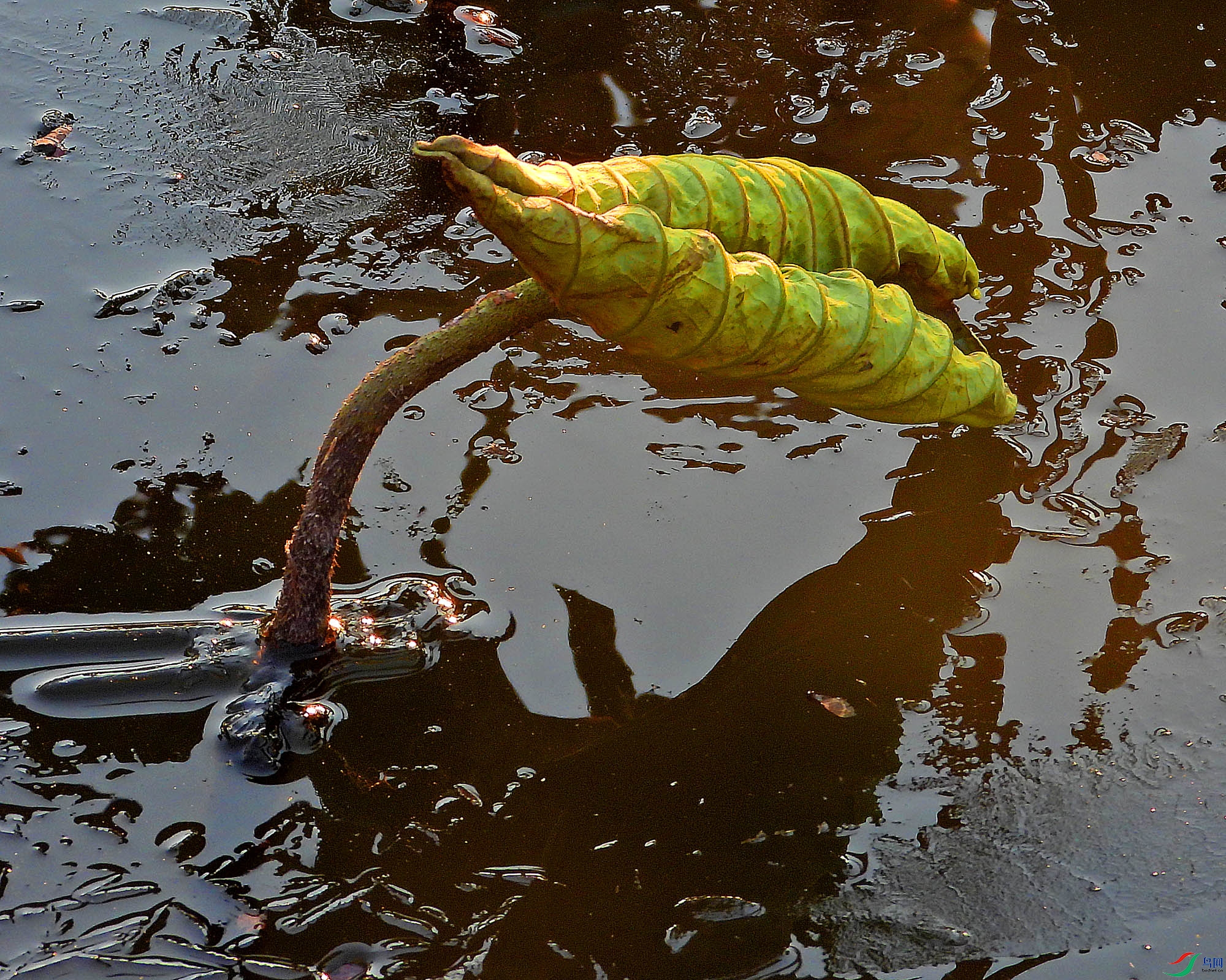 DSCN1797.JPG