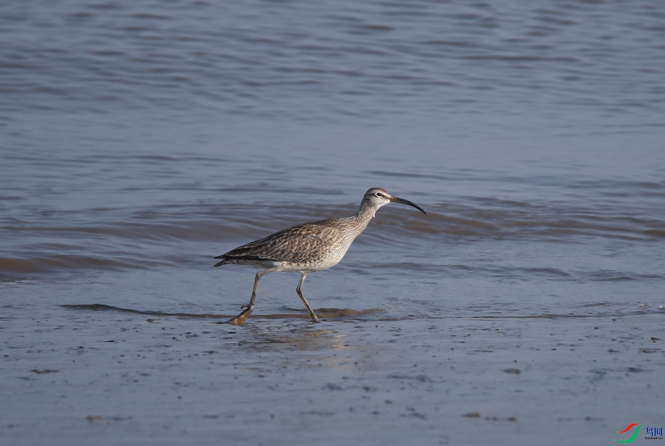 DSC_1077f_��ͼ��.jpg