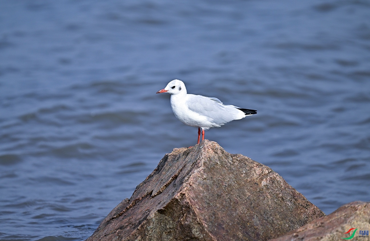 _DSC6362f_��ͼ��.jpg