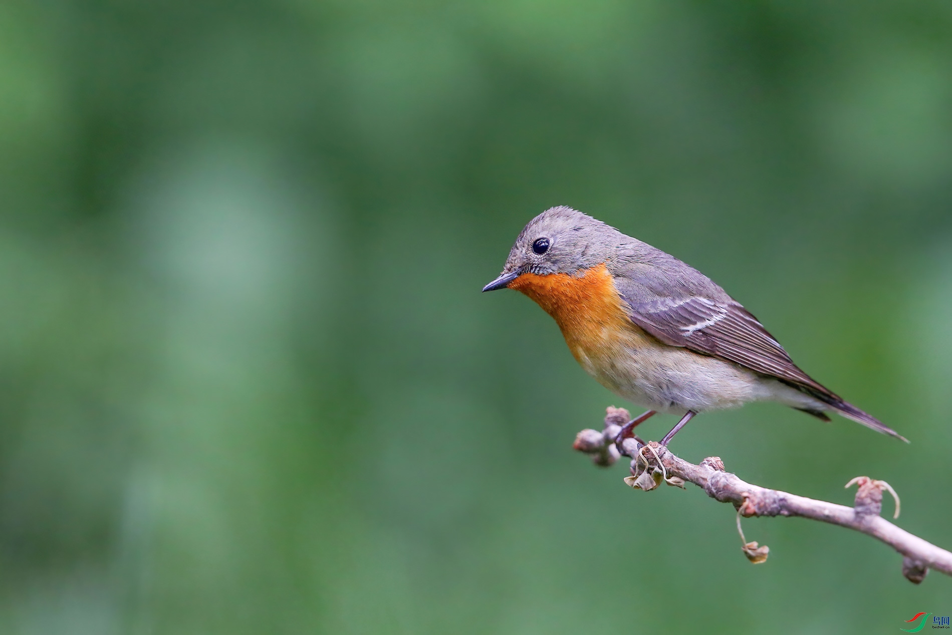 AQ4P0073-1.jpg