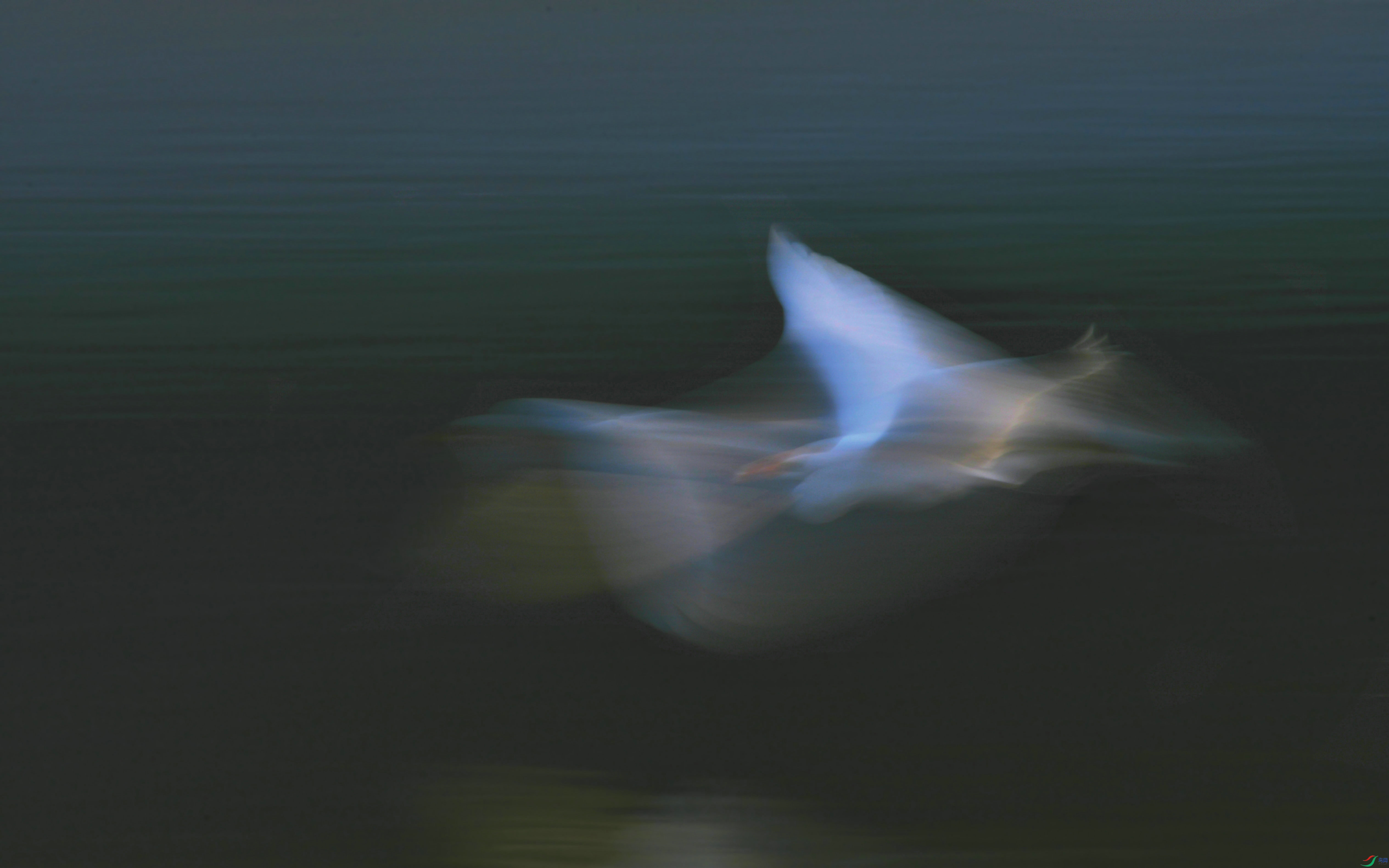 DSC_9589.JPG