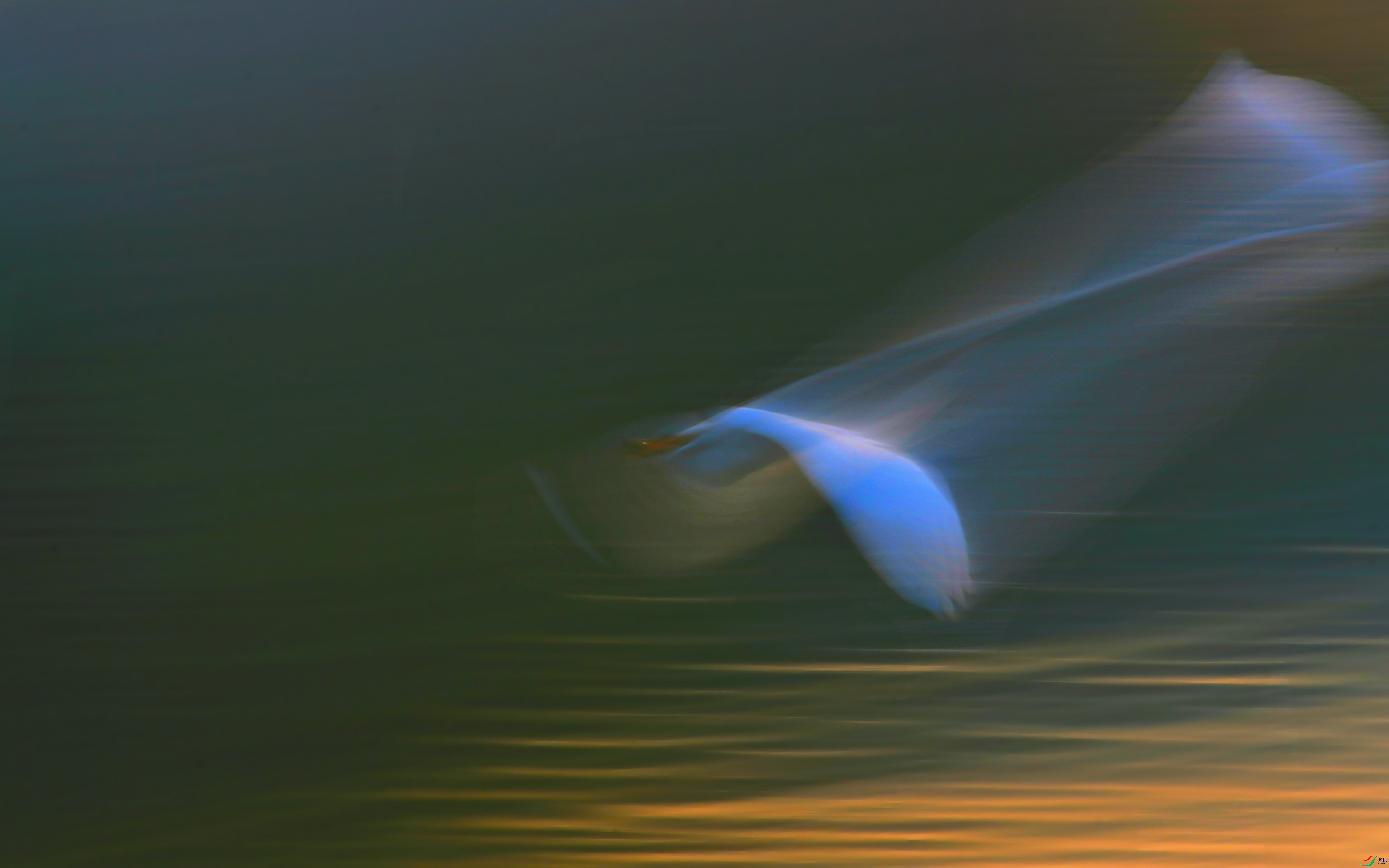 DSC_9588.JPG