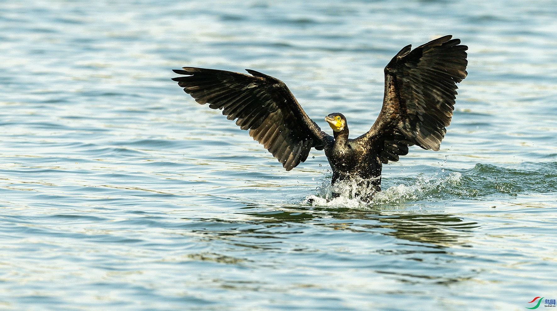 2542 ����.jpg